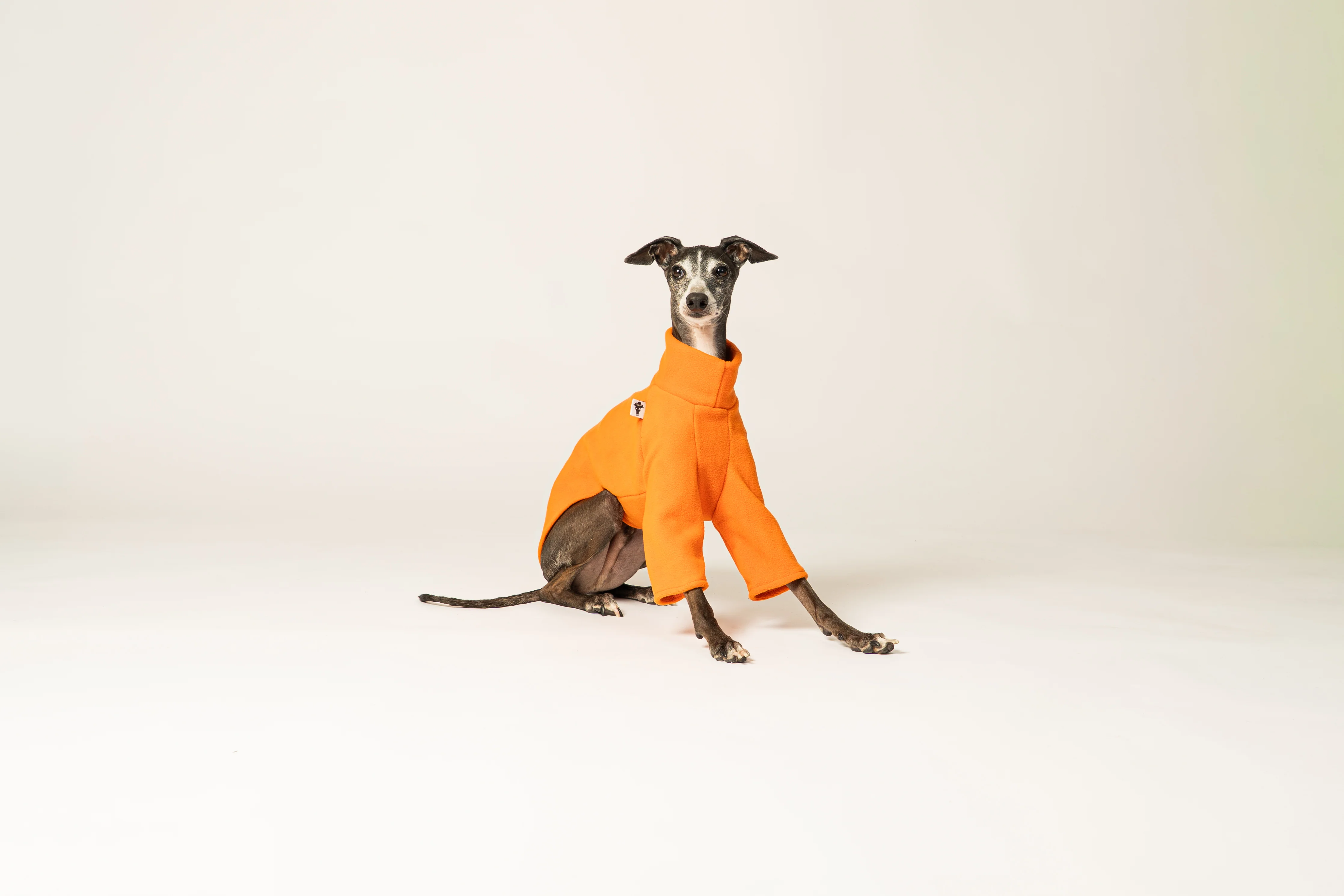 PULLOVER Iggy Orange - Image 4