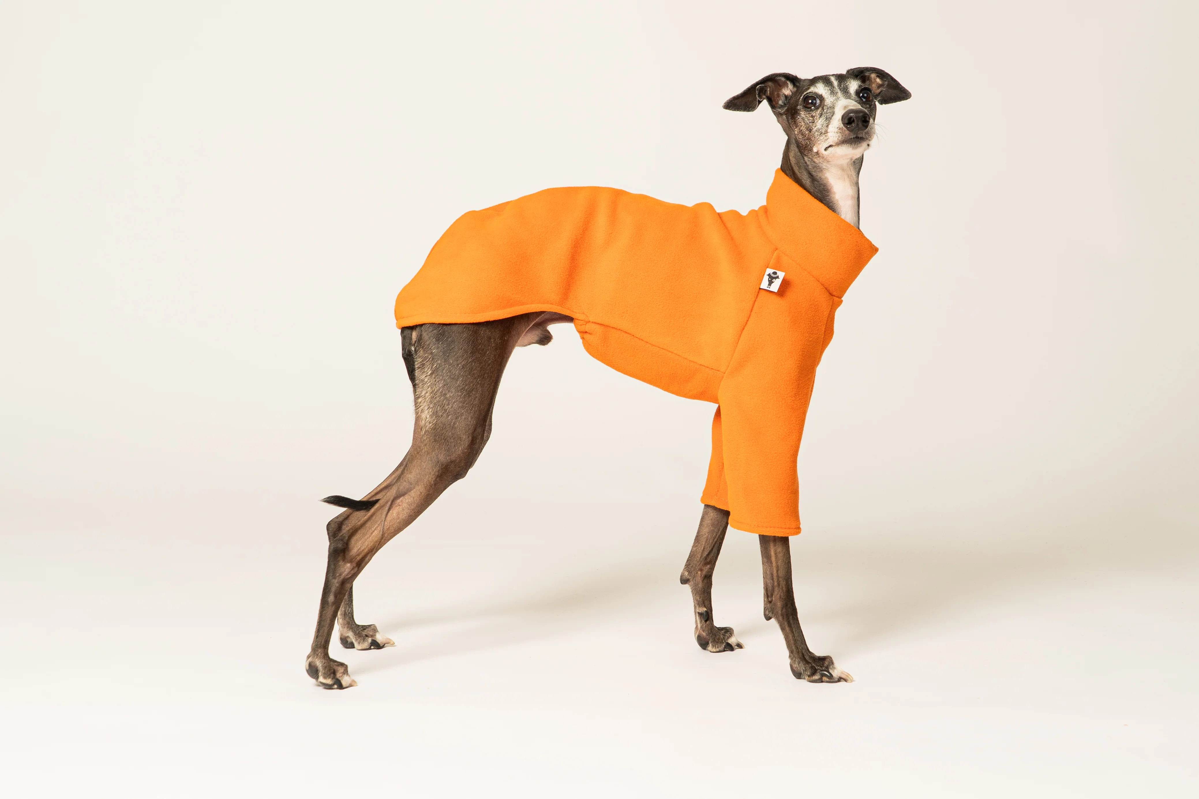 PULLOVER Iggy Orange - Image 5