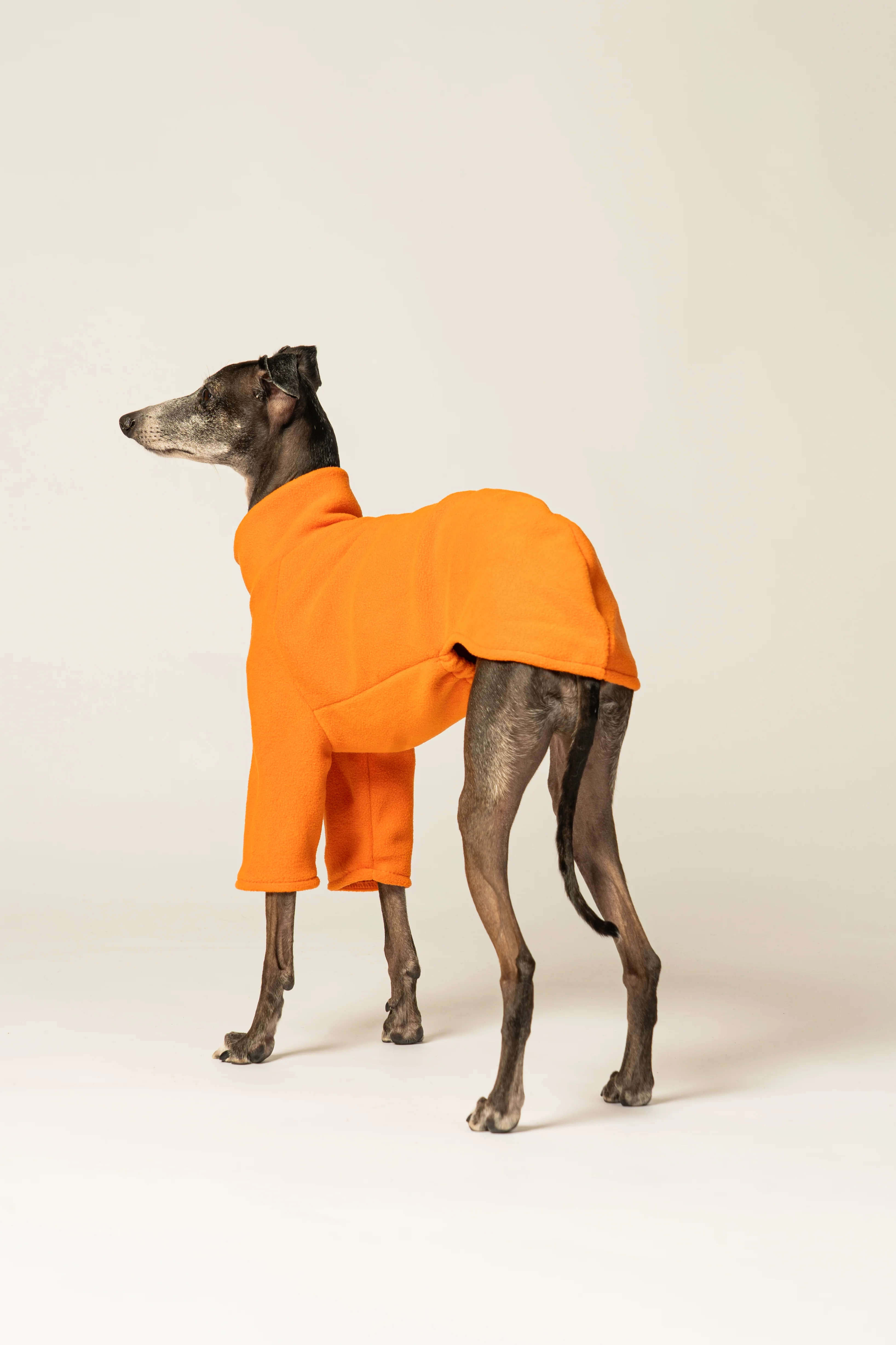 PULLOVER Iggy Orange - Image 6