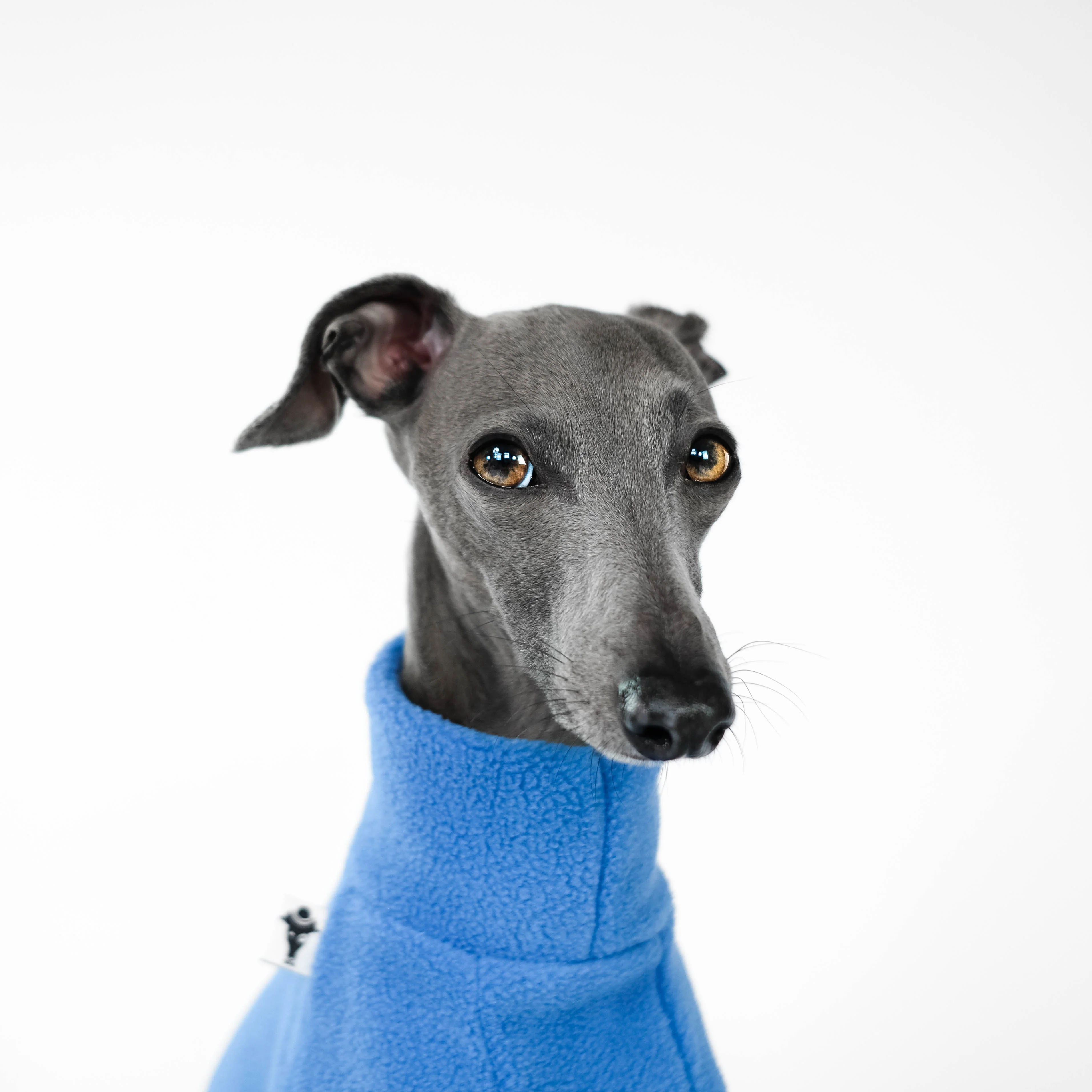 PULLOVER Iggy Sky Blue - Image 5
