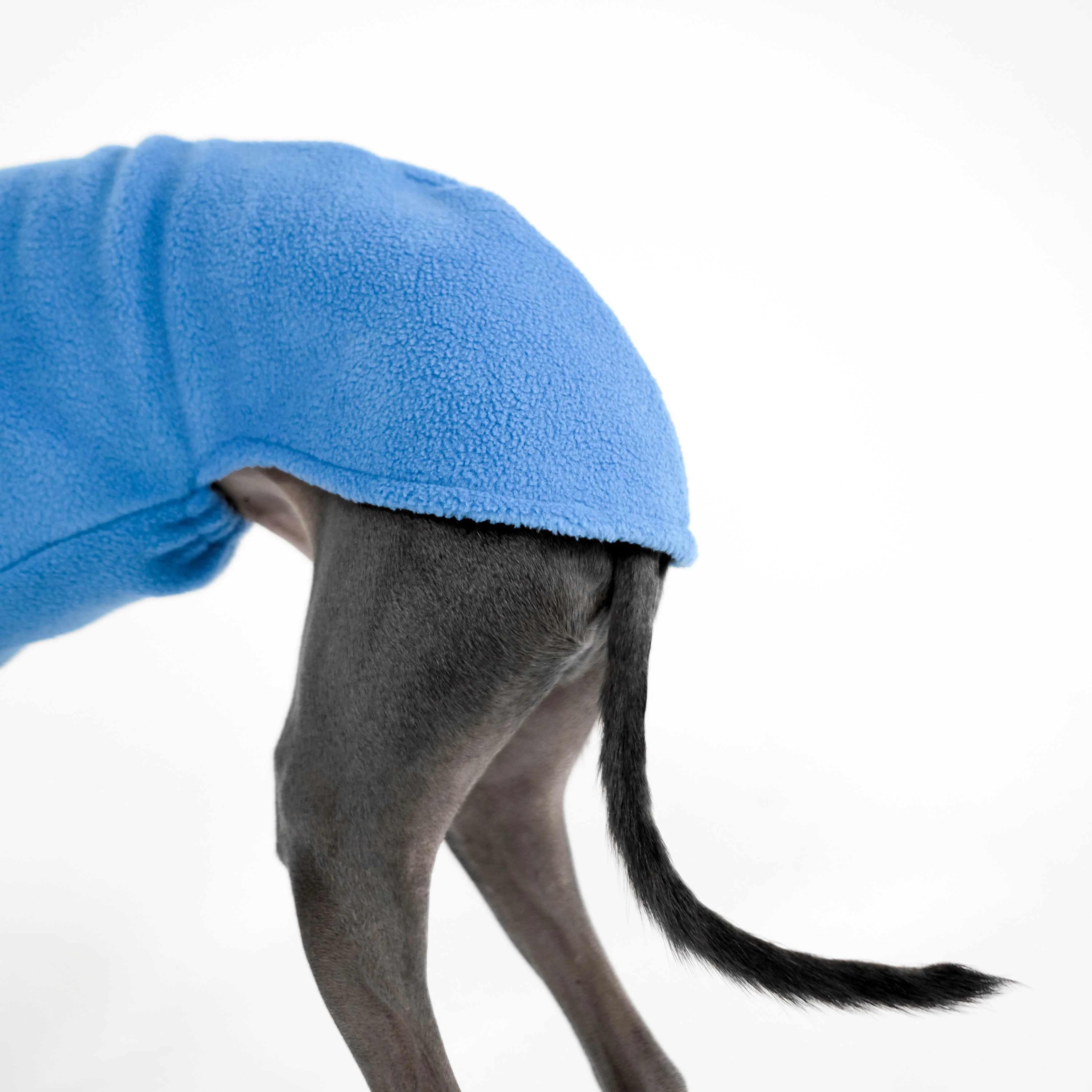 PULLOVER Iggy Sky Blue - Image 6