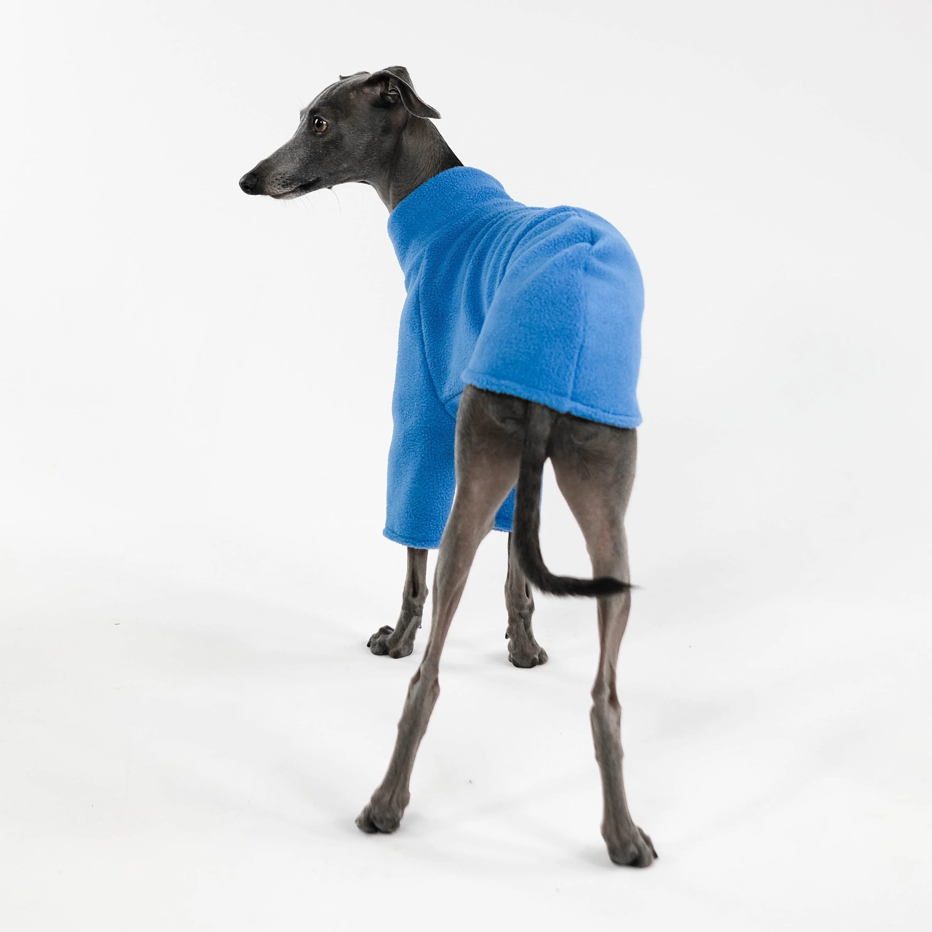 PULLOVER Iggy Sky Blue - Image 7