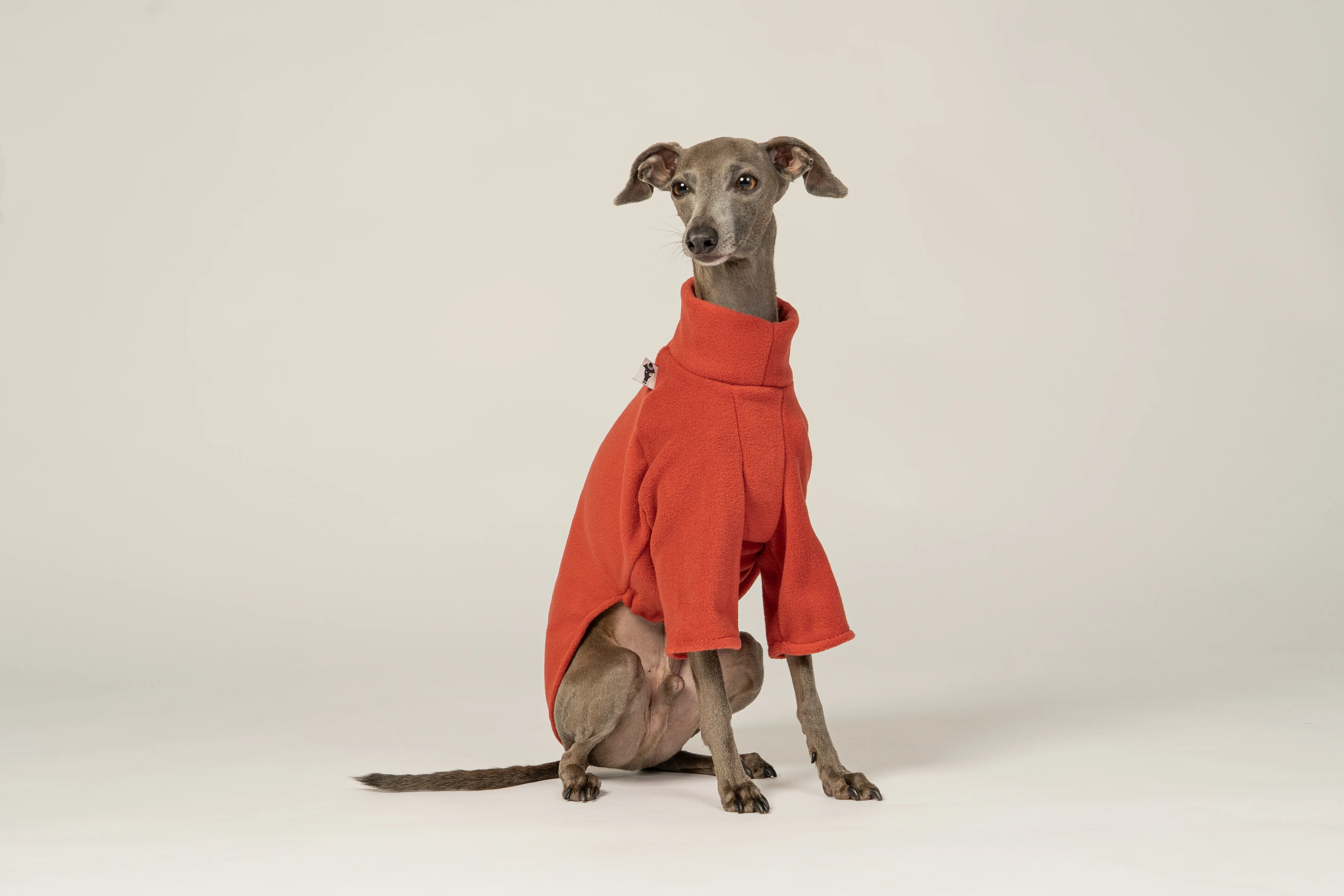 PULLOVER Iggy Terracotta - Image 4