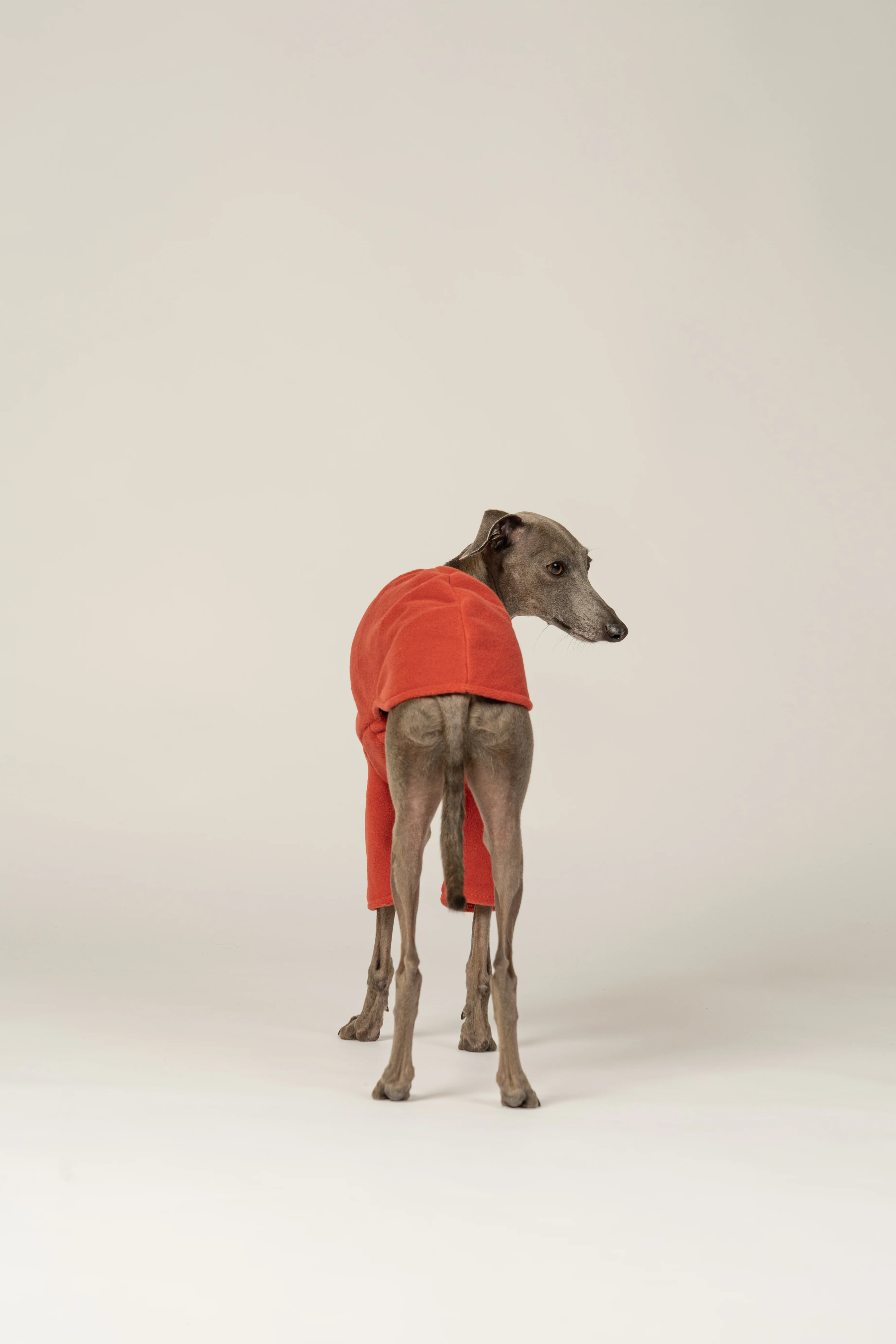 PULLOVER Iggy Terracotta - Image 5