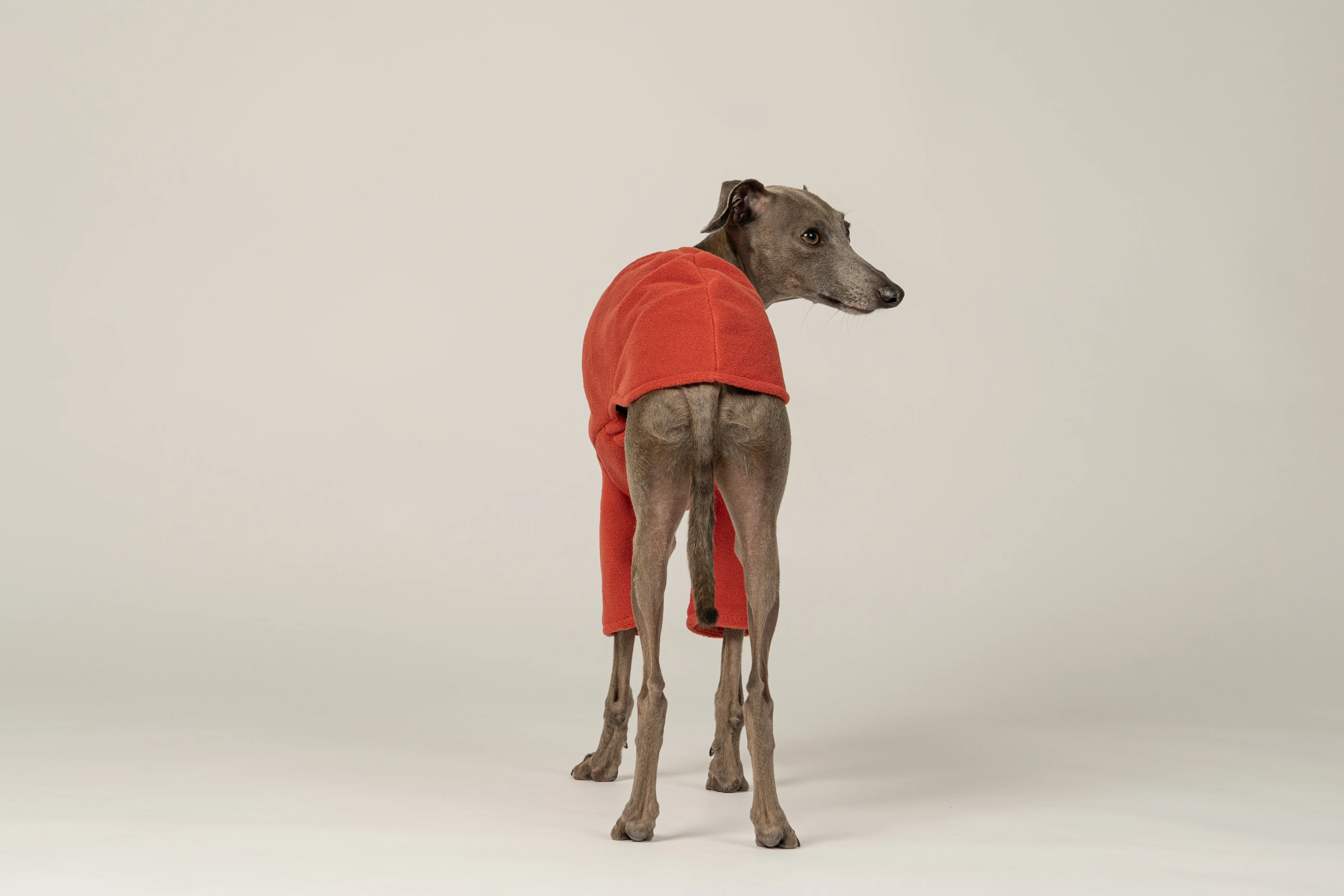 PULLOVER Iggy Terracotta - Image 6