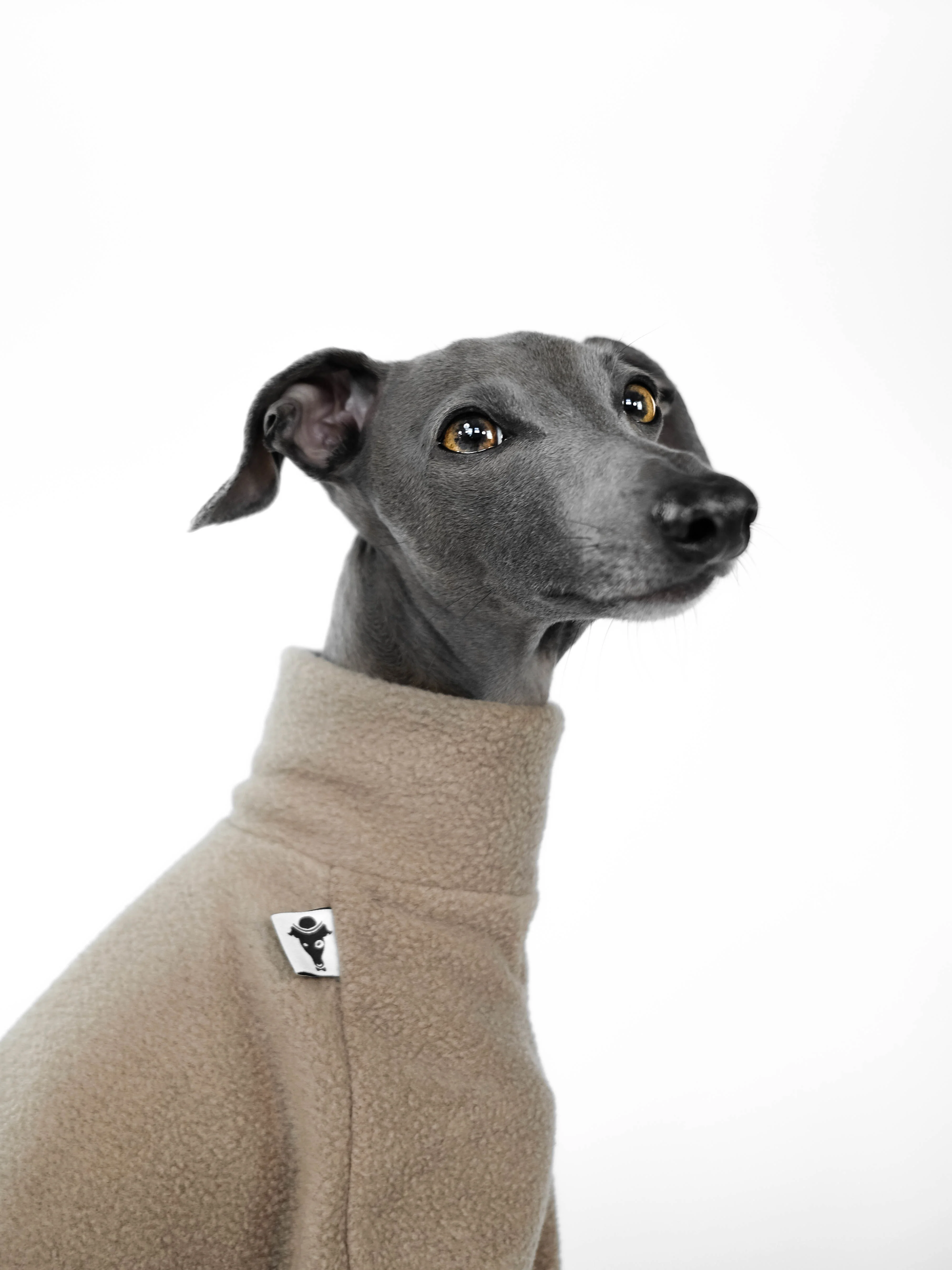 PULLOVER Iggy Walnut - Image 4