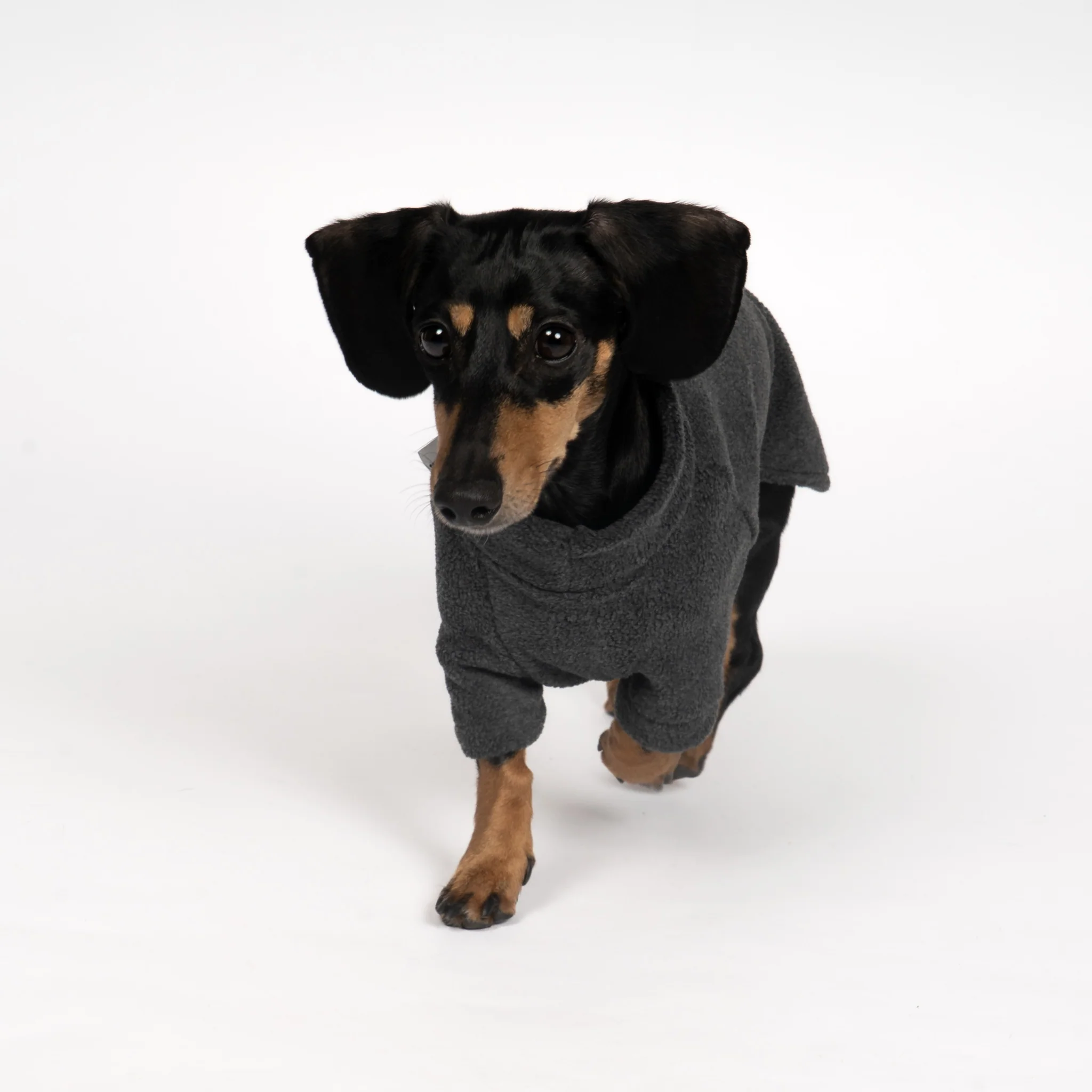 PULLOVER Dackel Anthrazit - Image 4