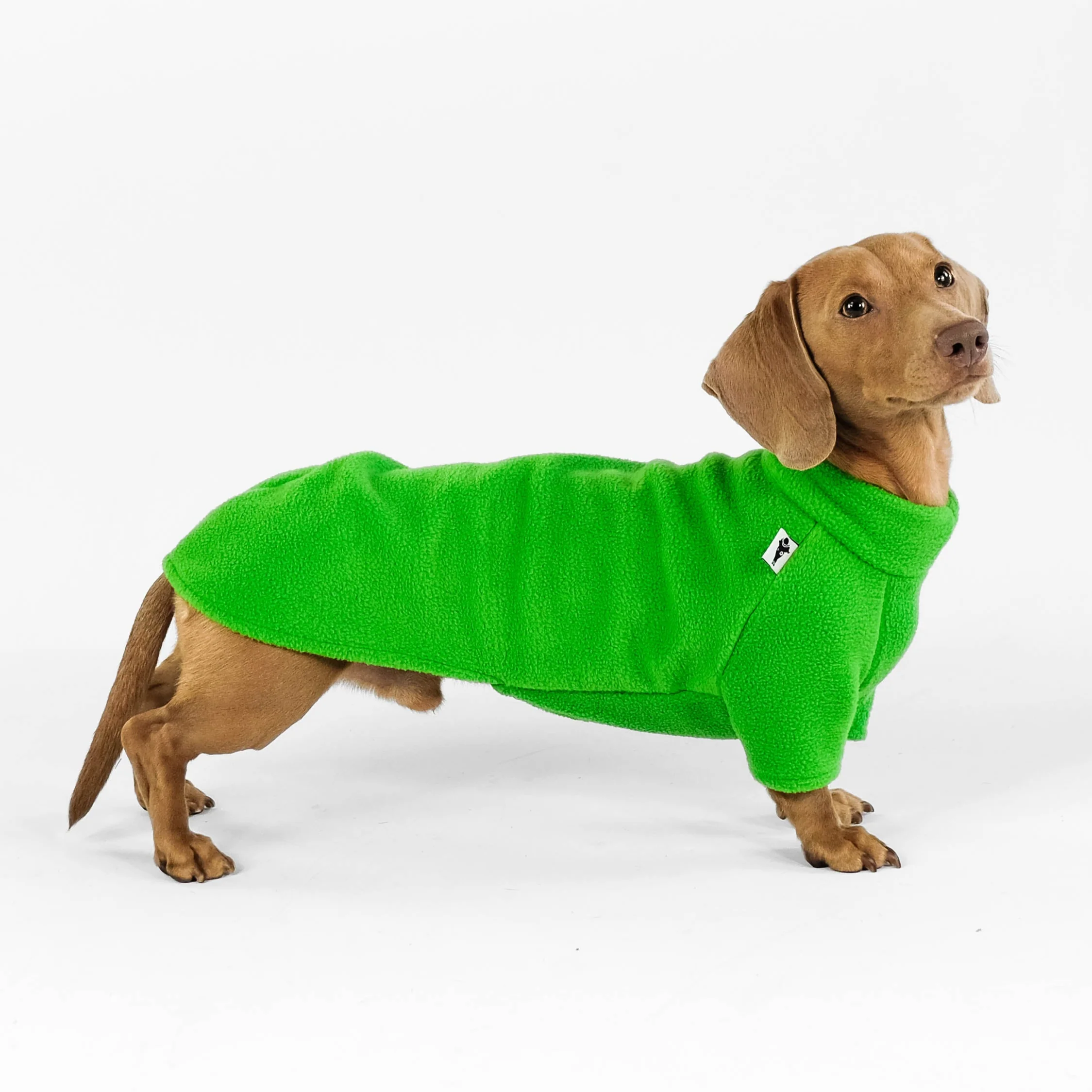 PULLOVER Dackel Apple Green