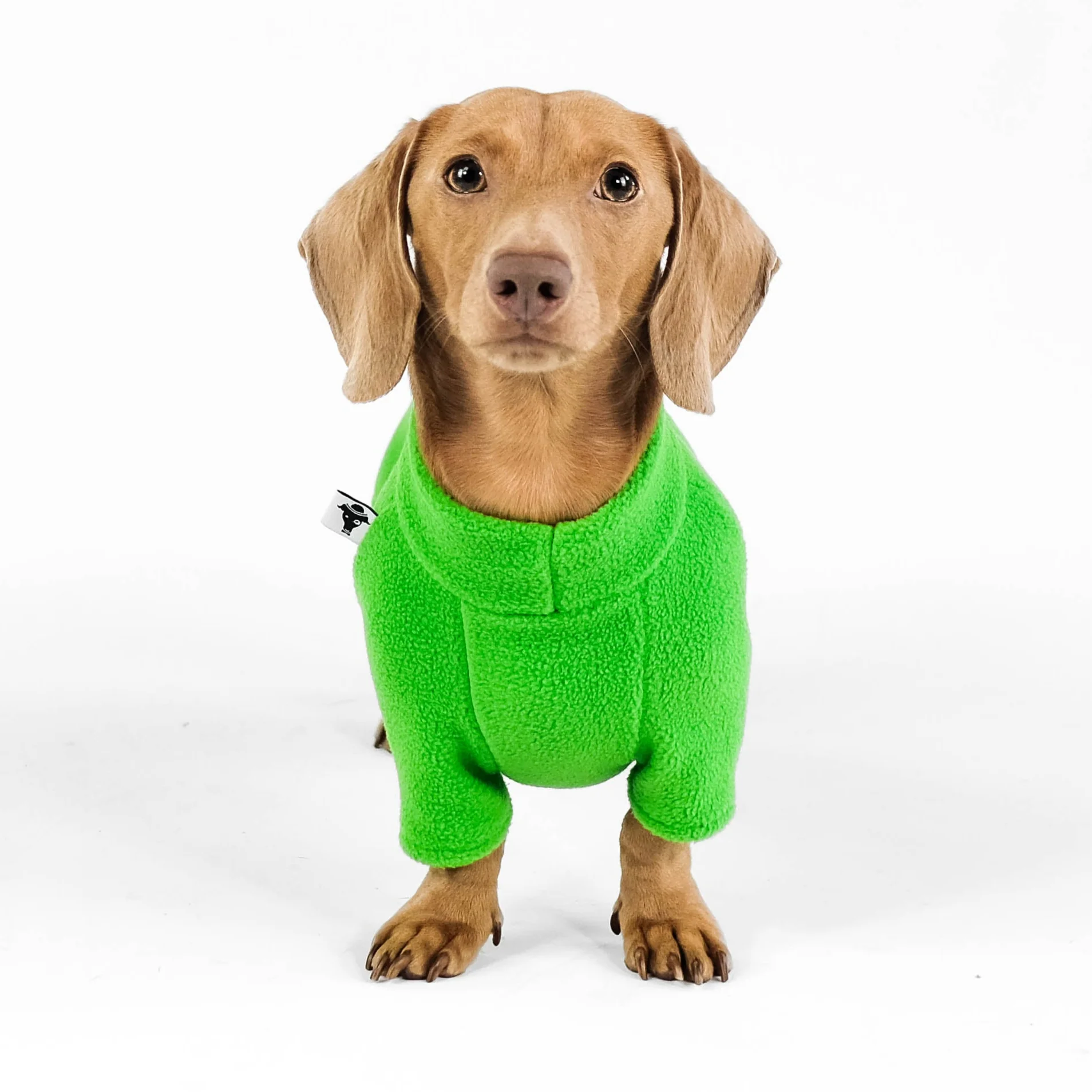 PULLOVER Dackel Apple Green - Image 4