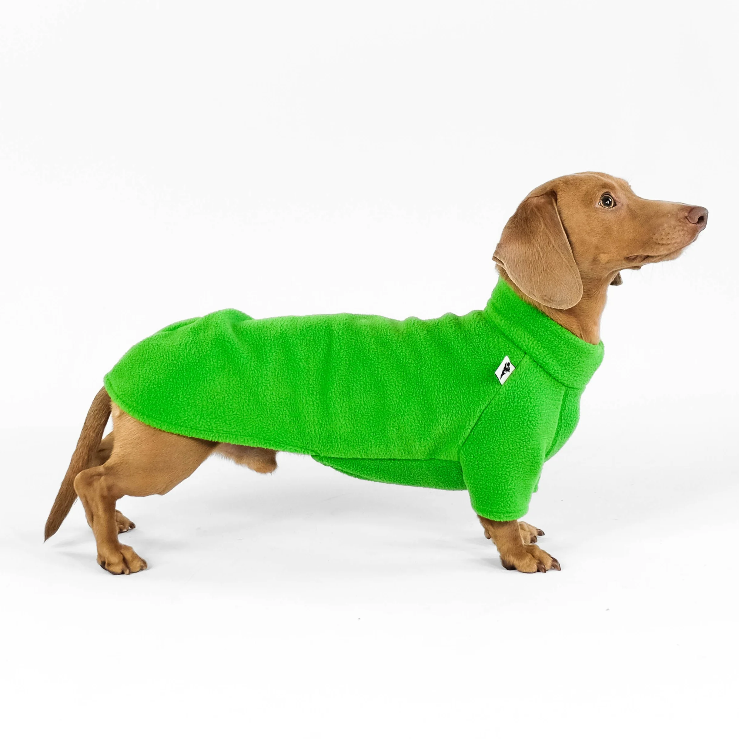 PULLOVER Dackel Apple Green - Image 5