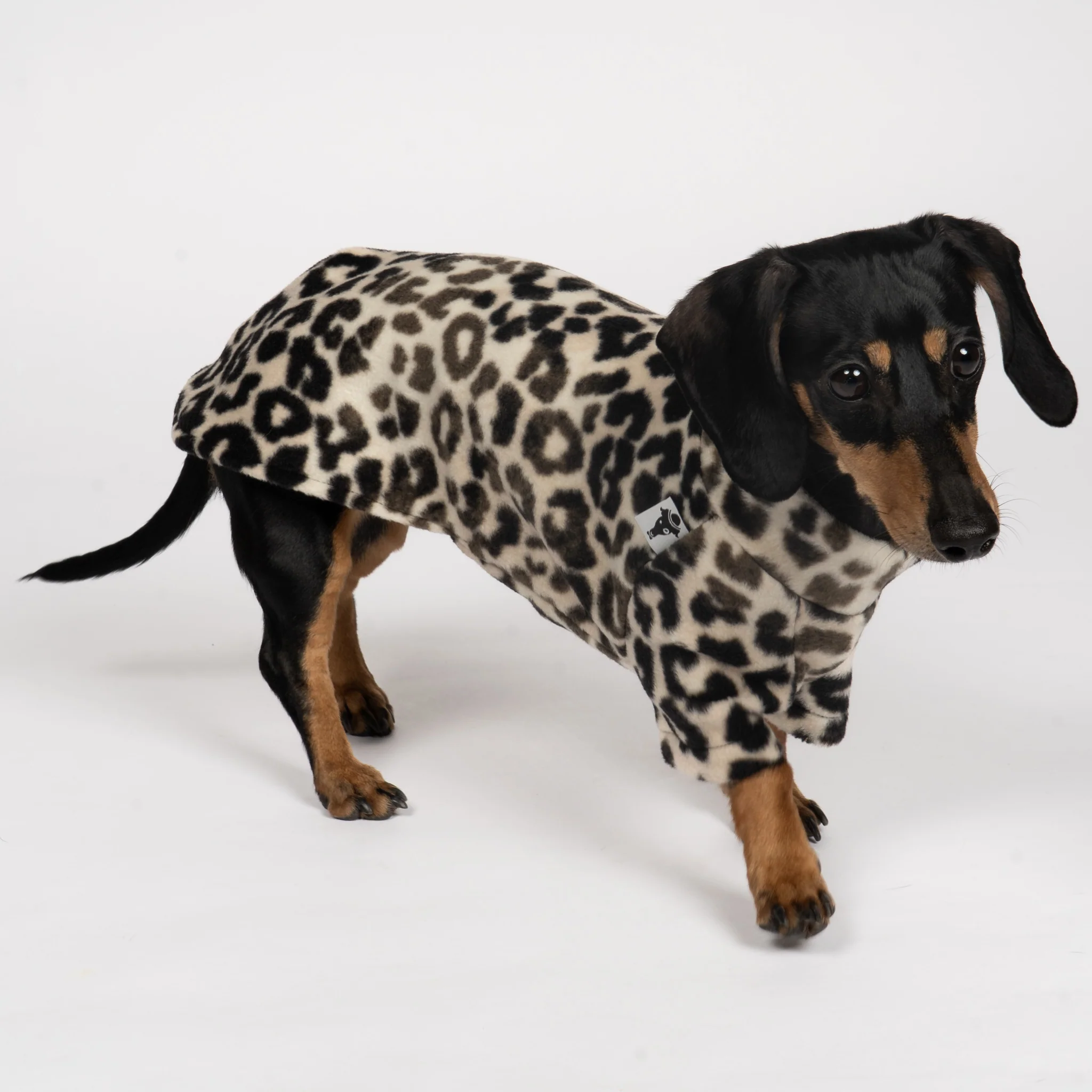 PULLOVER Dackel Leo - Image 4