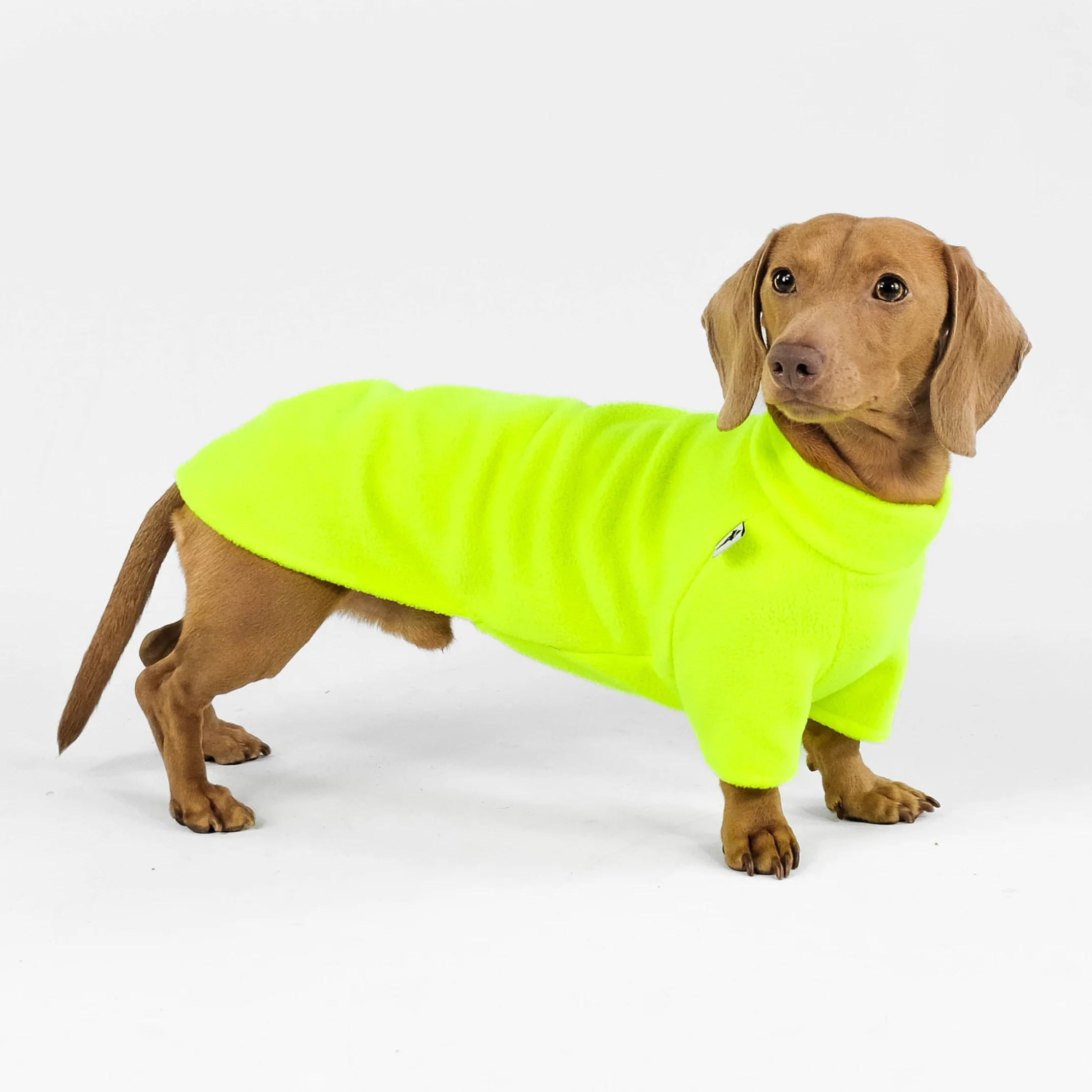 PULLOVER Dackel Neon Yellow