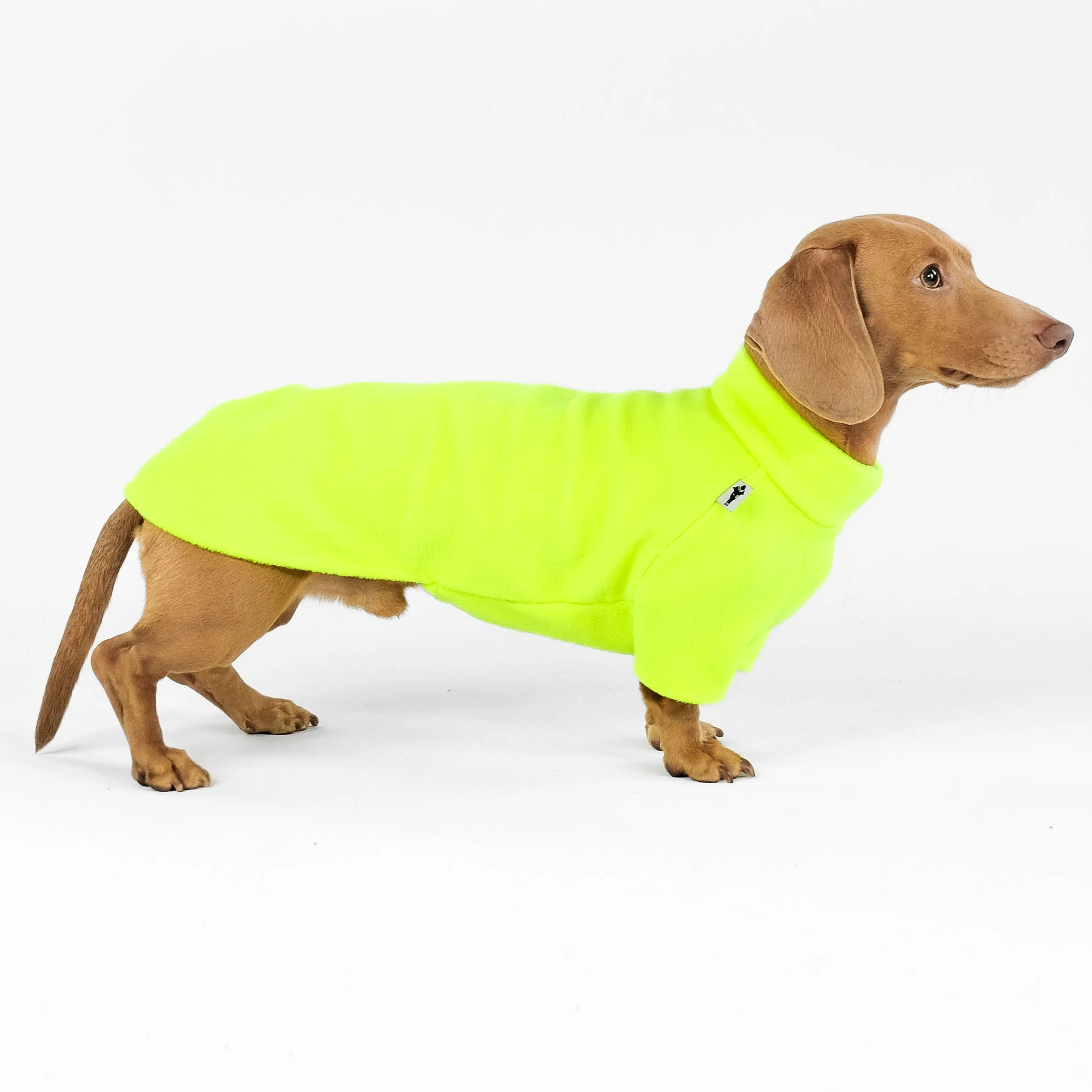 PULLOVER Dackel Neon Yellow - Image 4