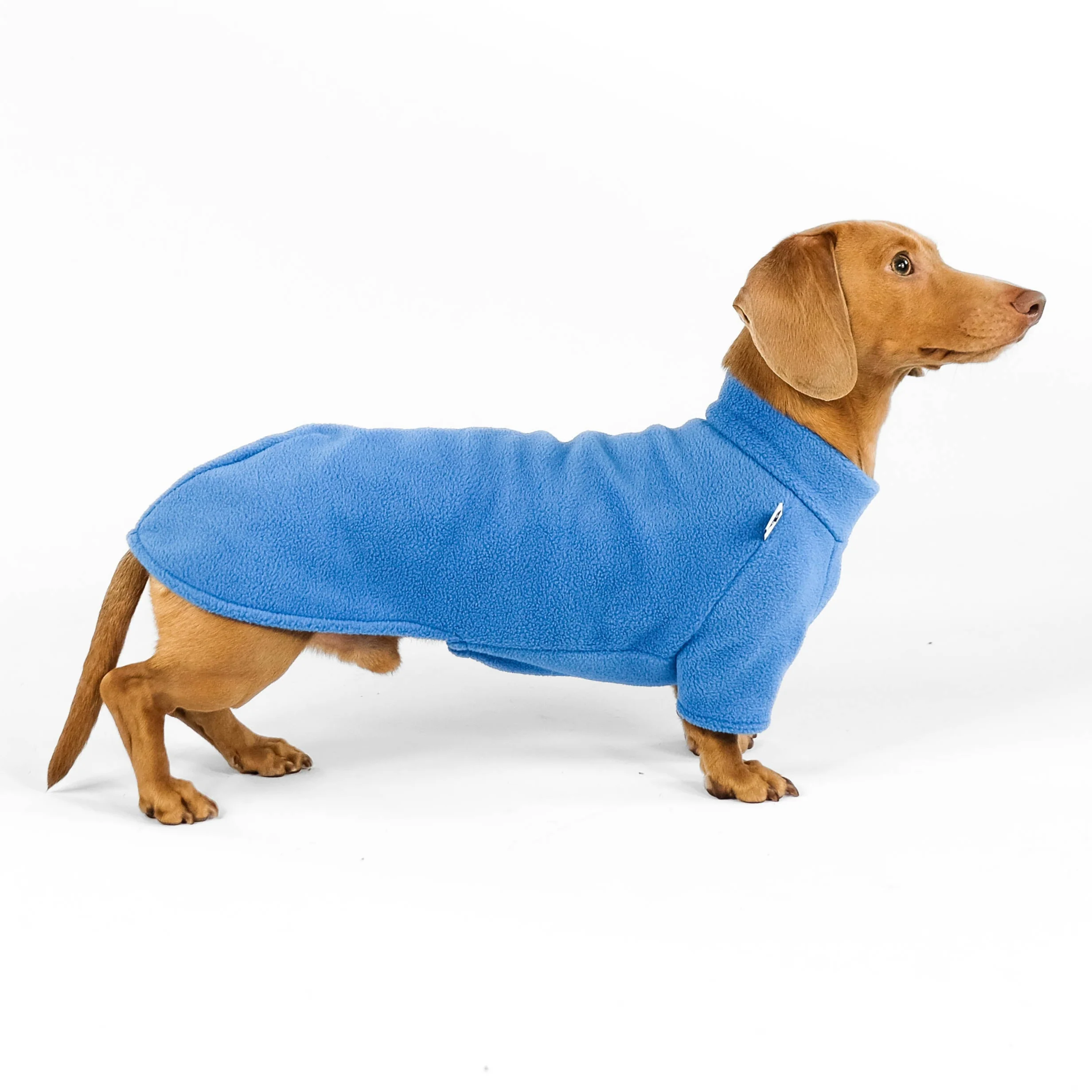 PULLOVER Dackel Sky Blue - Image 4