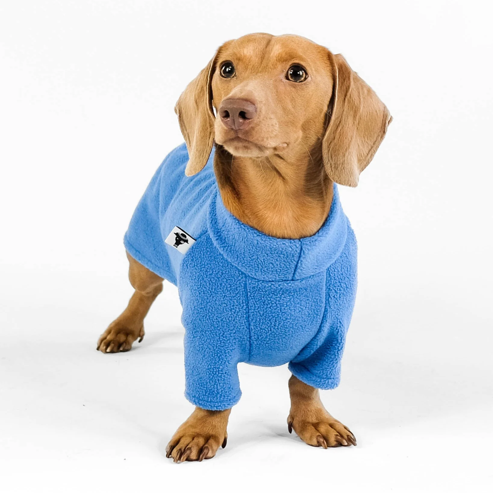 PULLOVER Dackel Sky Blue - Image 5