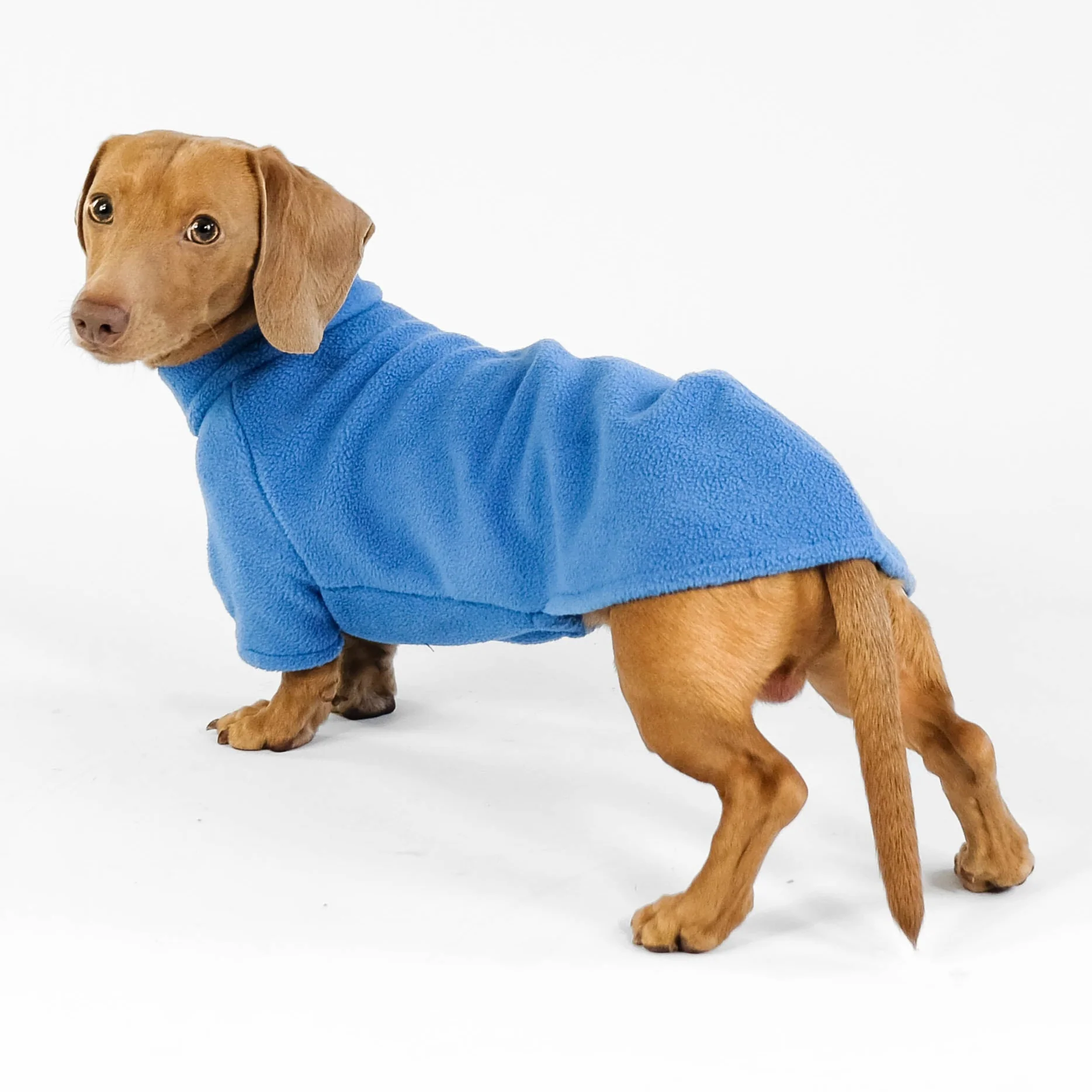 PULLOVER Dackel Sky Blue - Image 6