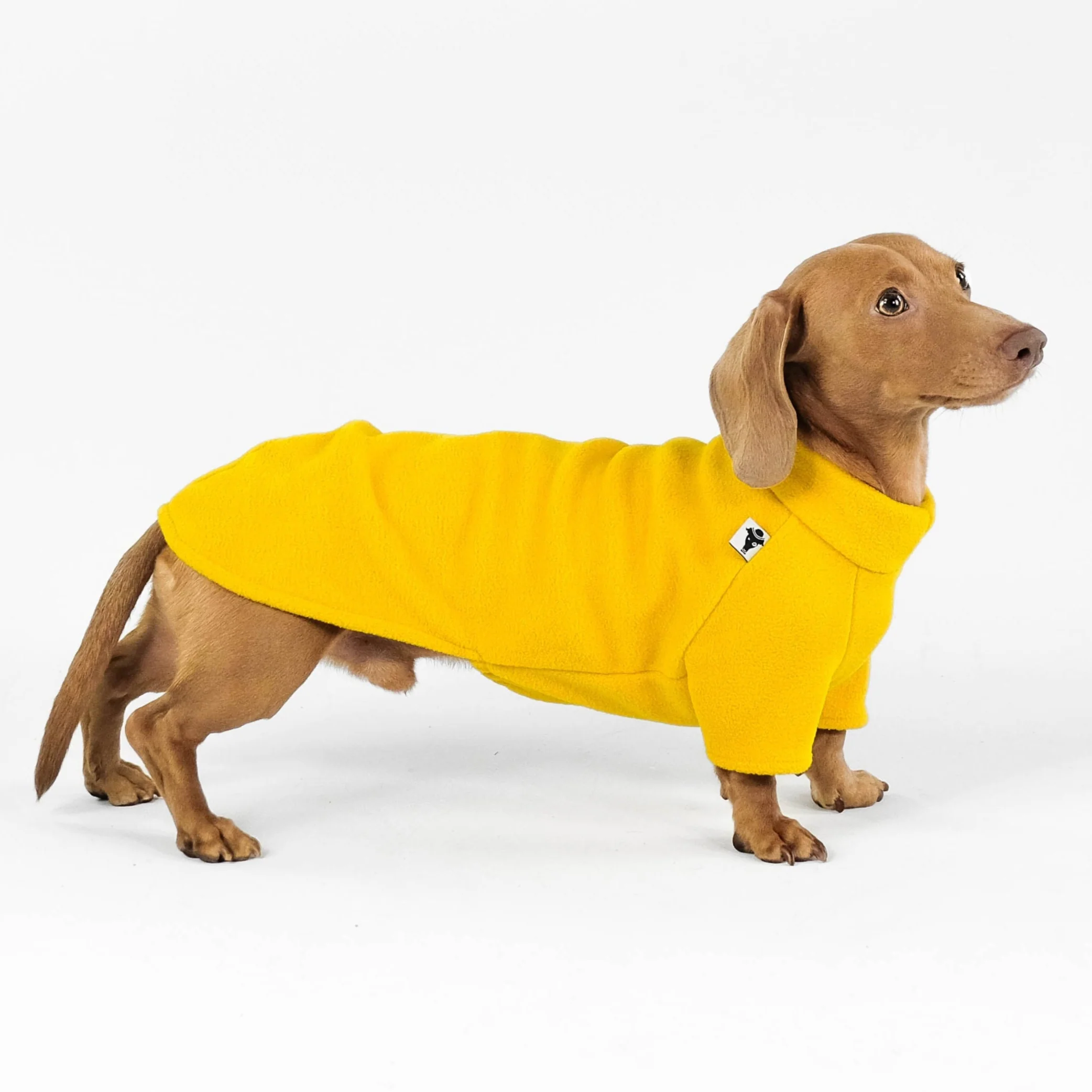 PULLOVER Dackel Sunflower - Image 4