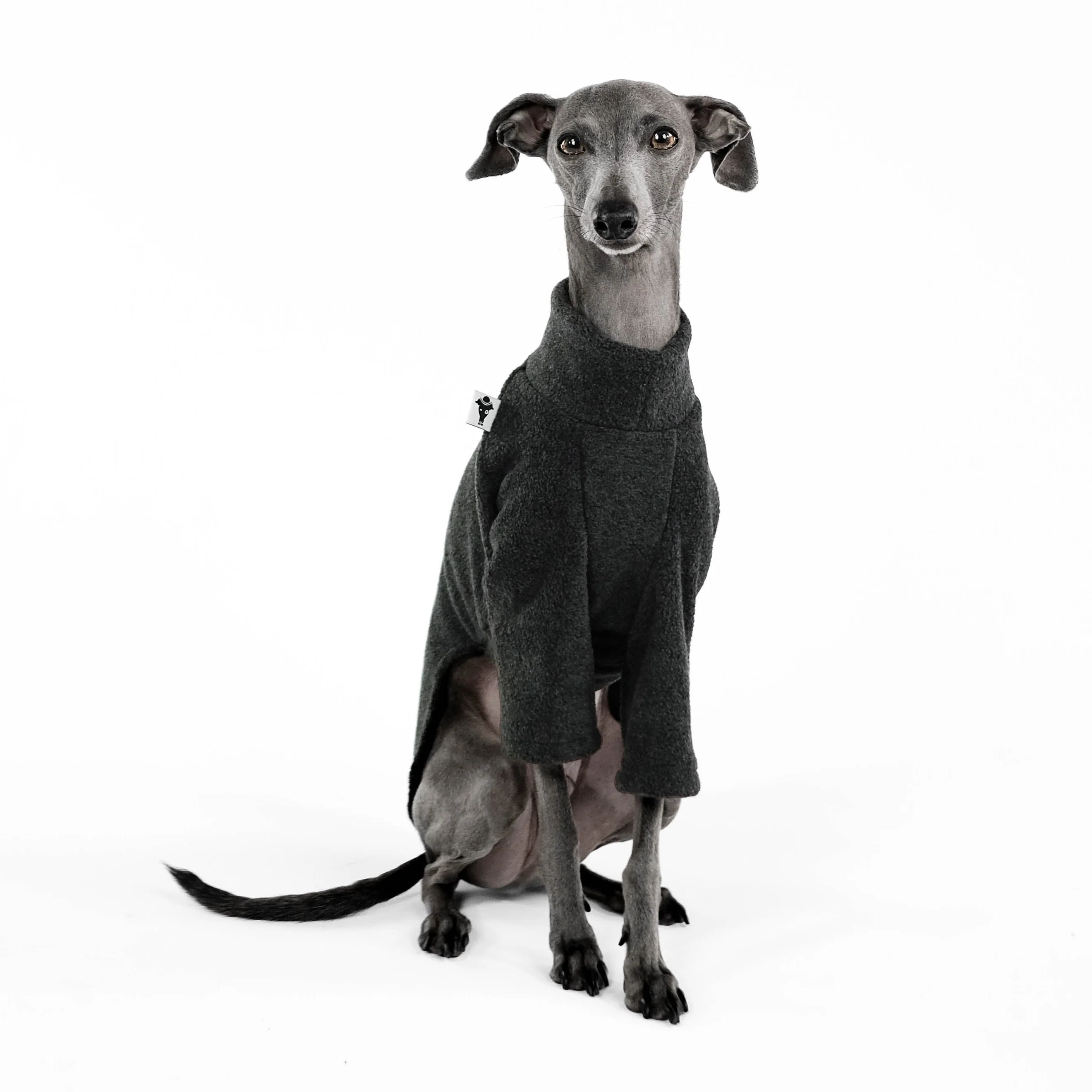 PULLOVER Iggy Anthrazit - Image 4