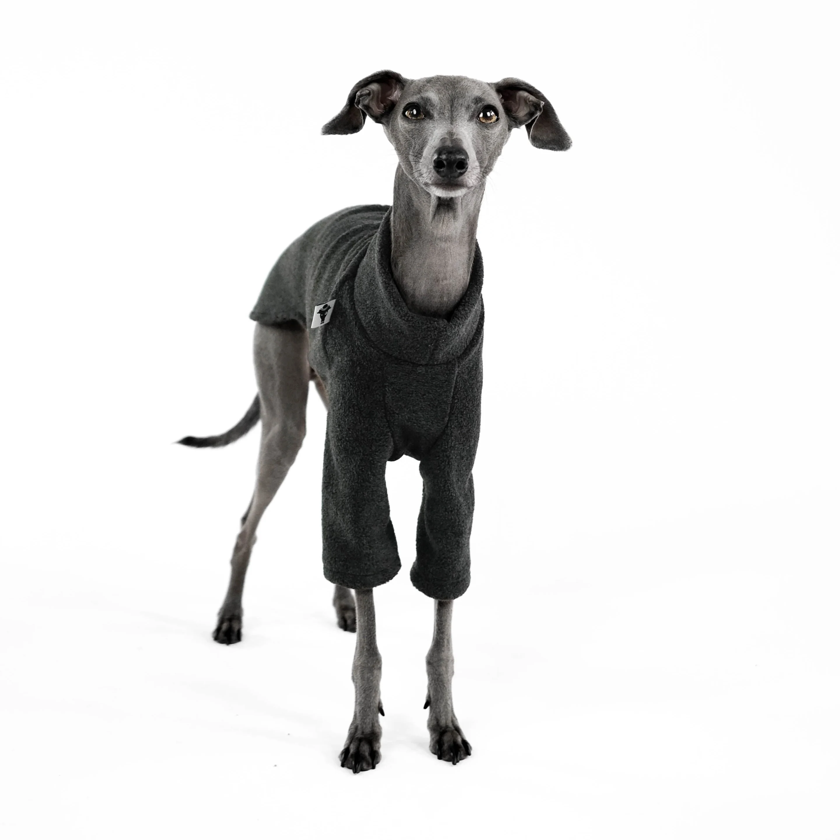 PULLOVER Iggy Anthrazit - Image 5