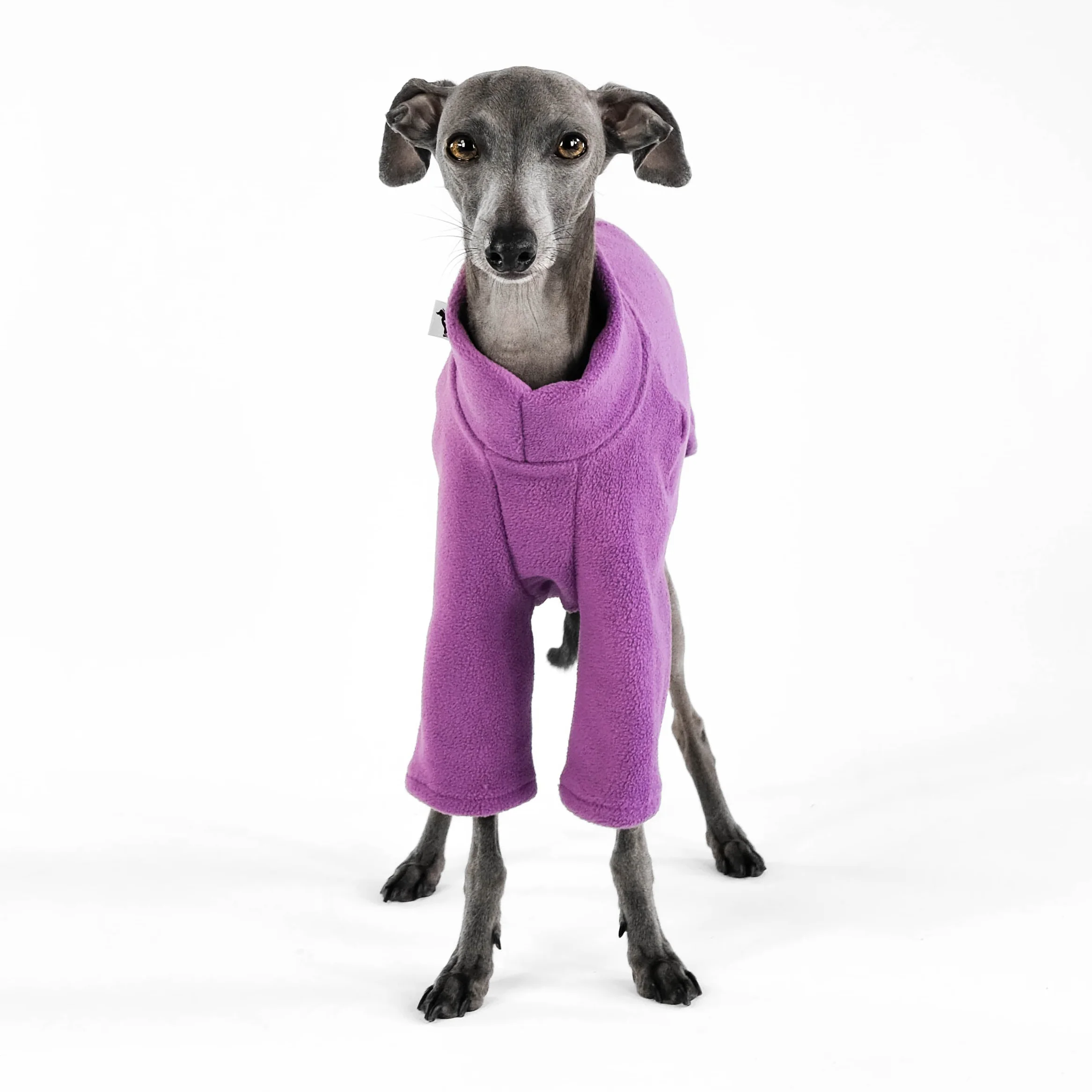 PULLOVER Iggy Violet - Image 5