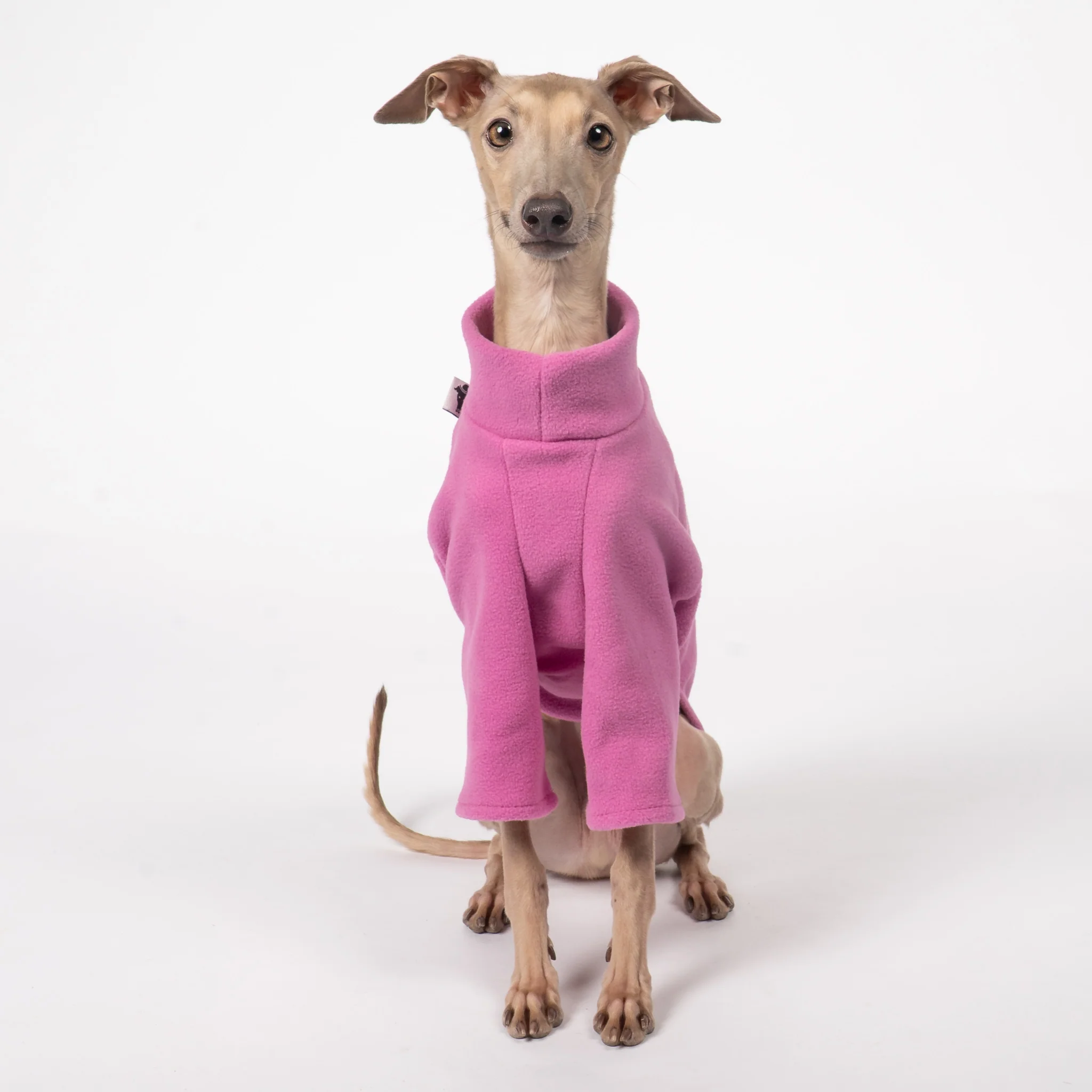 PULLOVER Iggy Bubblegum - Image 4