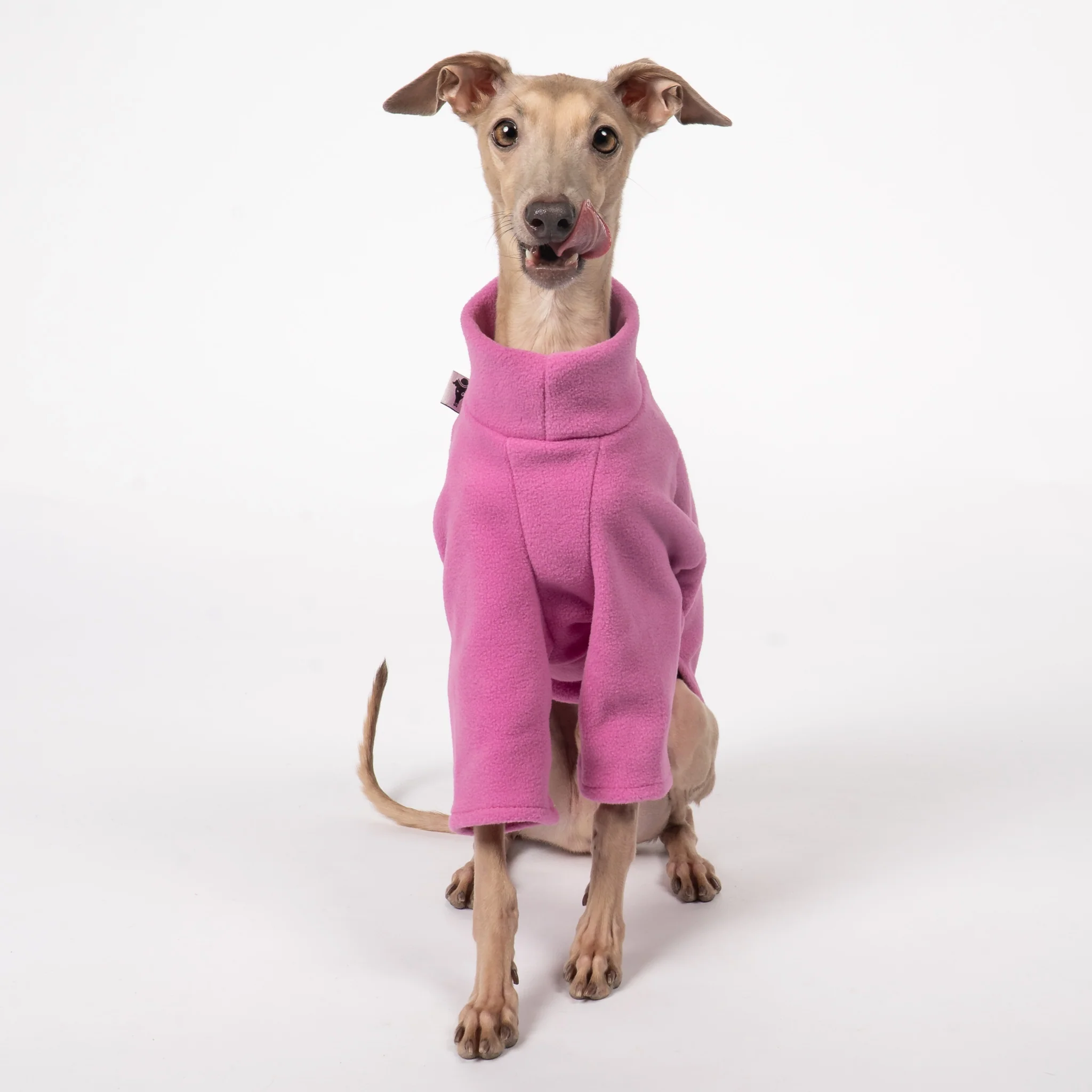 PULLOVER Iggy Bubblegum - Image 5