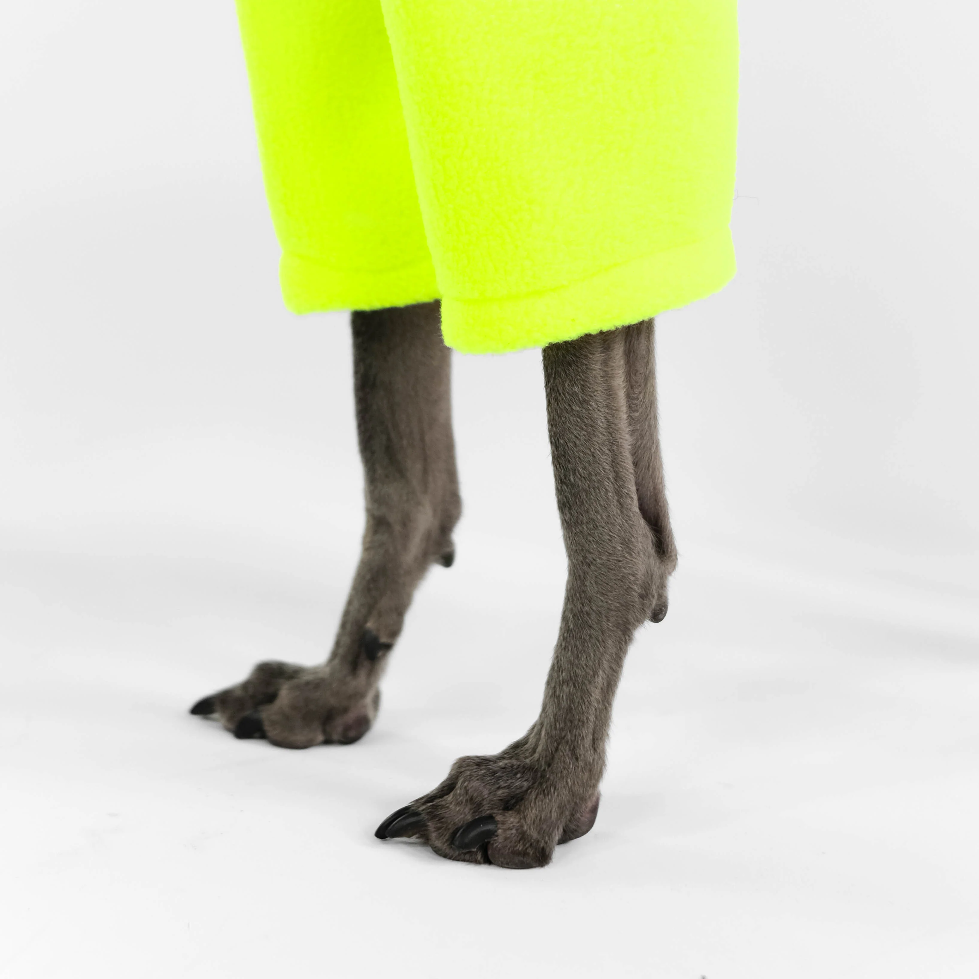 PULLOVER Iggy Neon Yellow - Image 5
