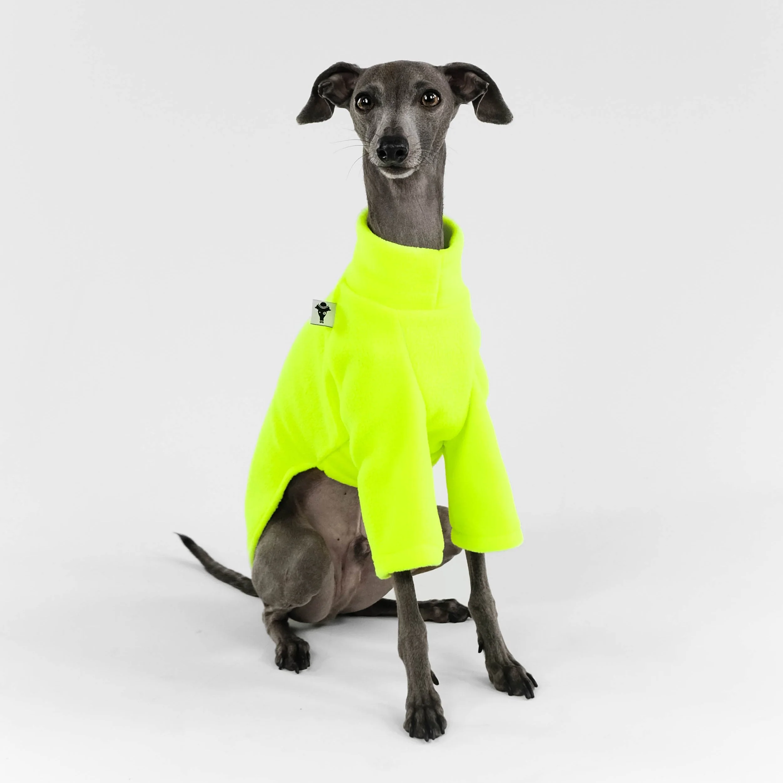 PULLOVER Iggy Neon Yellow - Image 6