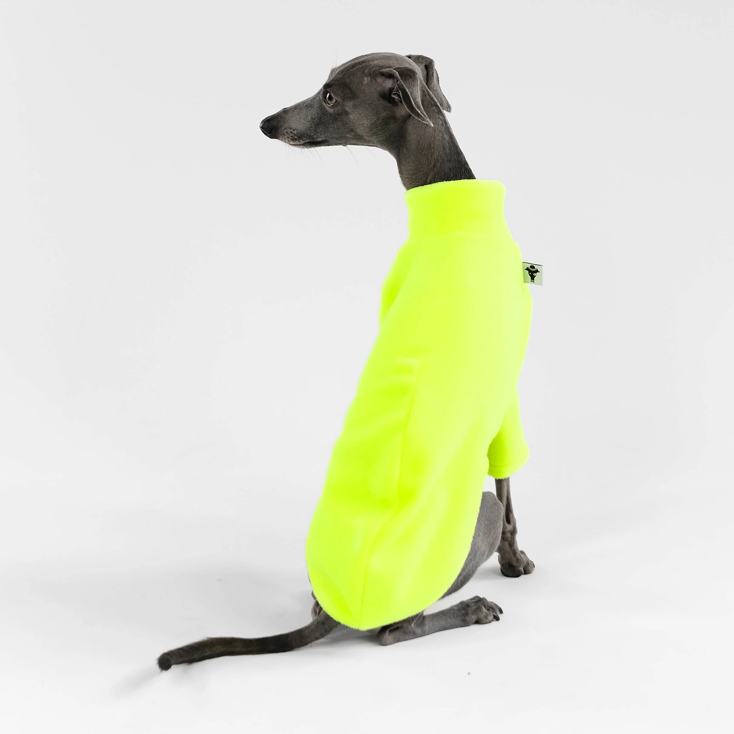 PULLOVER Iggy Neon Yellow - Image 7