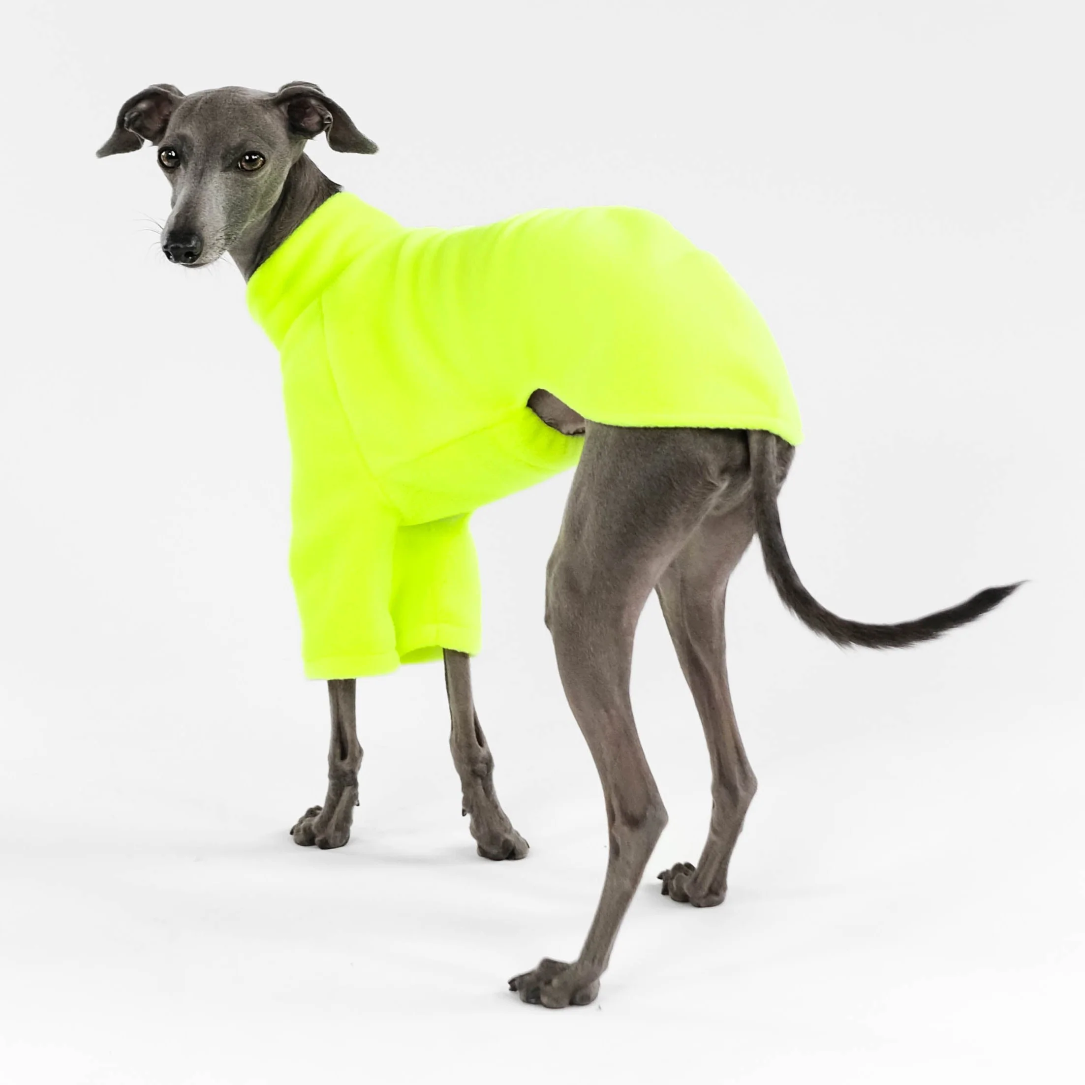 PULLOVER Iggy Neon Yellow - Image 8