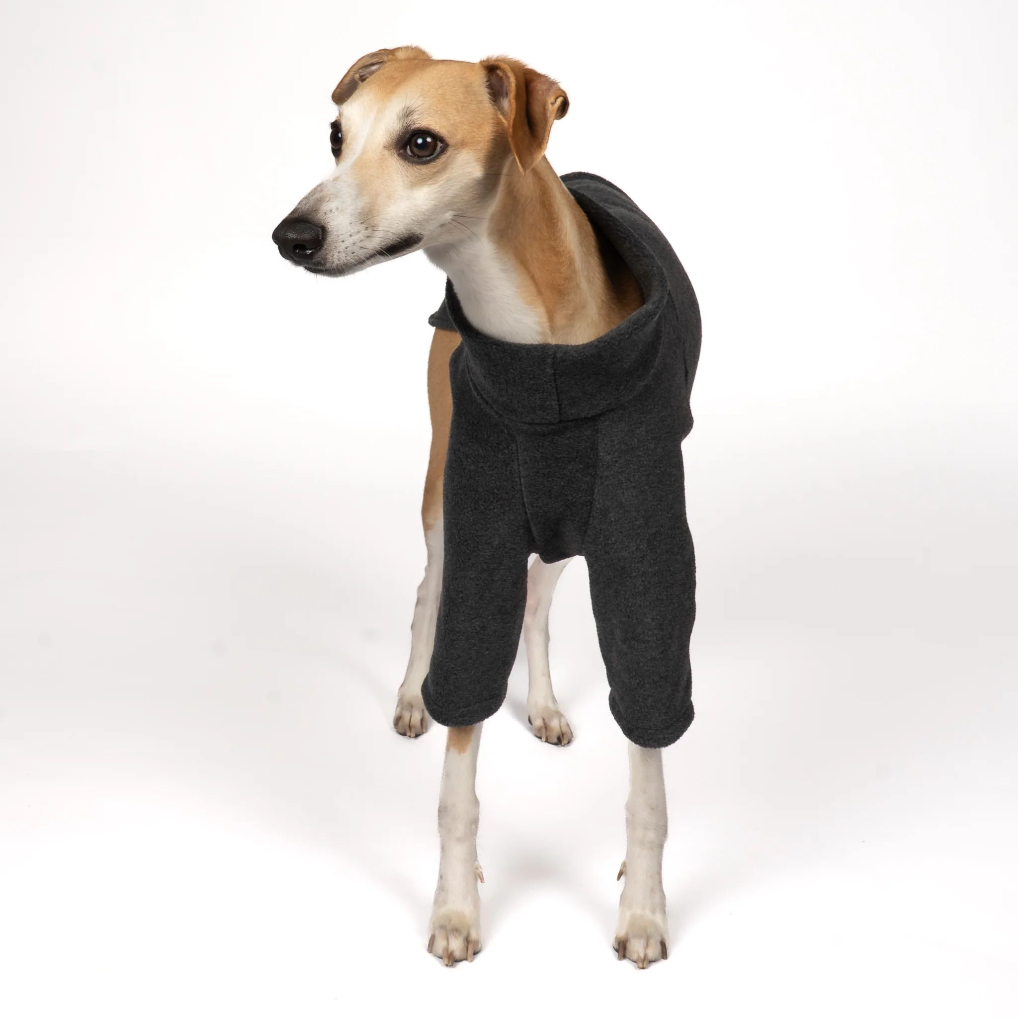 PULLOVER Windhund Anthrazit - Image 4