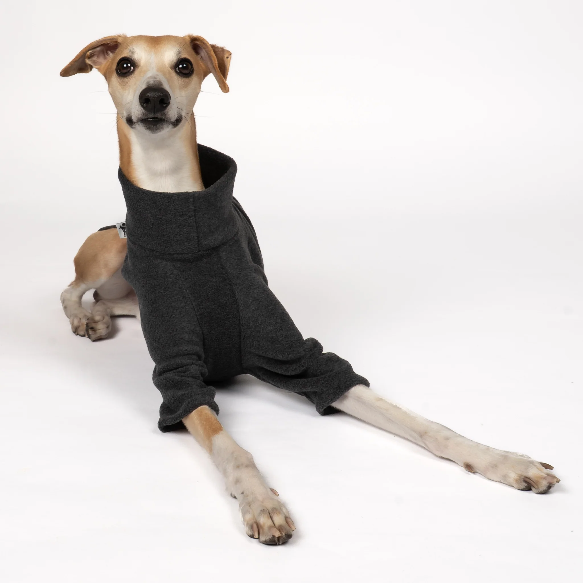 PULLOVER Windhund Anthrazit - Image 5
