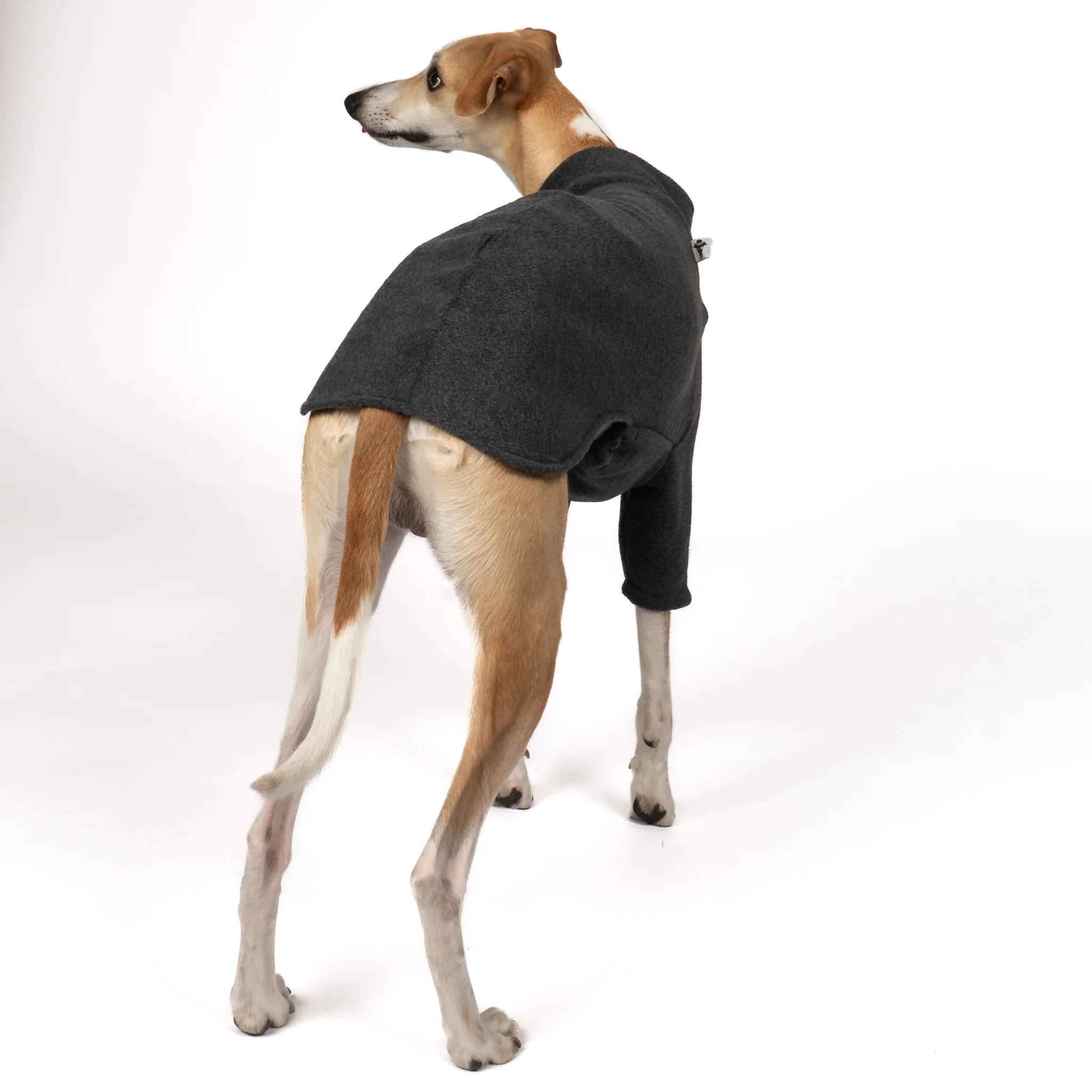 PULLOVER Windhund Anthrazit - Image 7