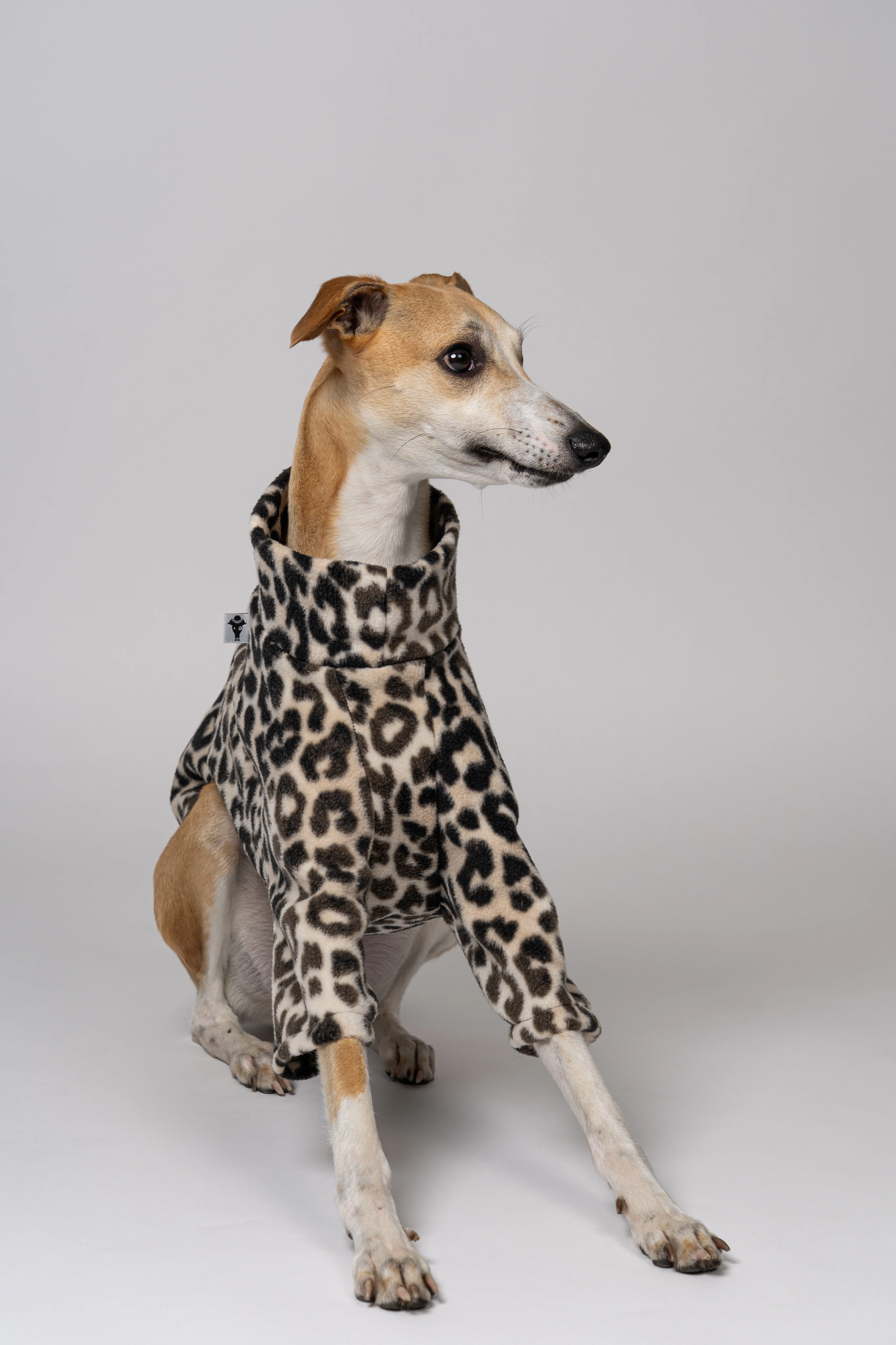 PULLOVER Windhund Leo - Image 10