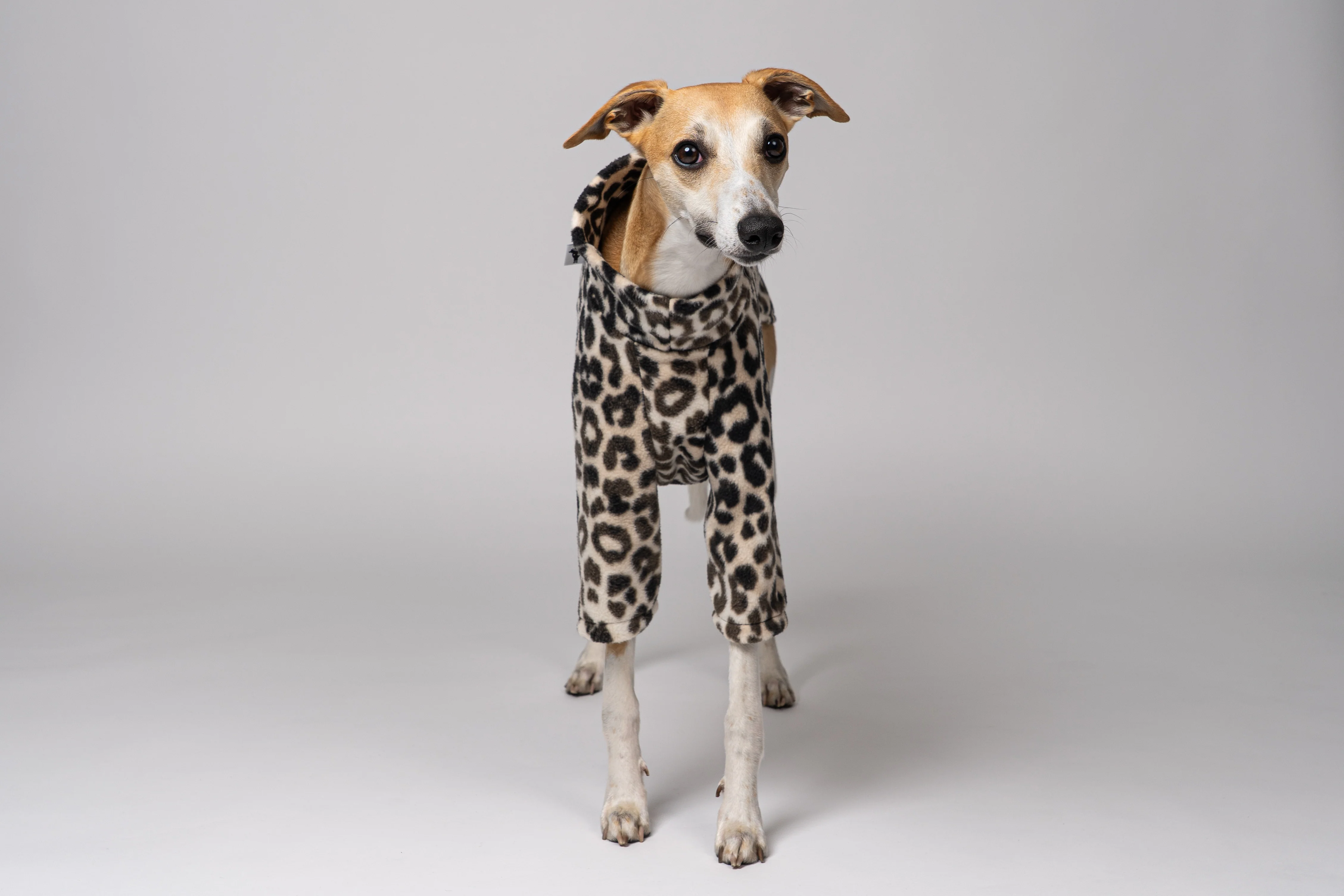 PULLOVER Windhund Leo - Image 4