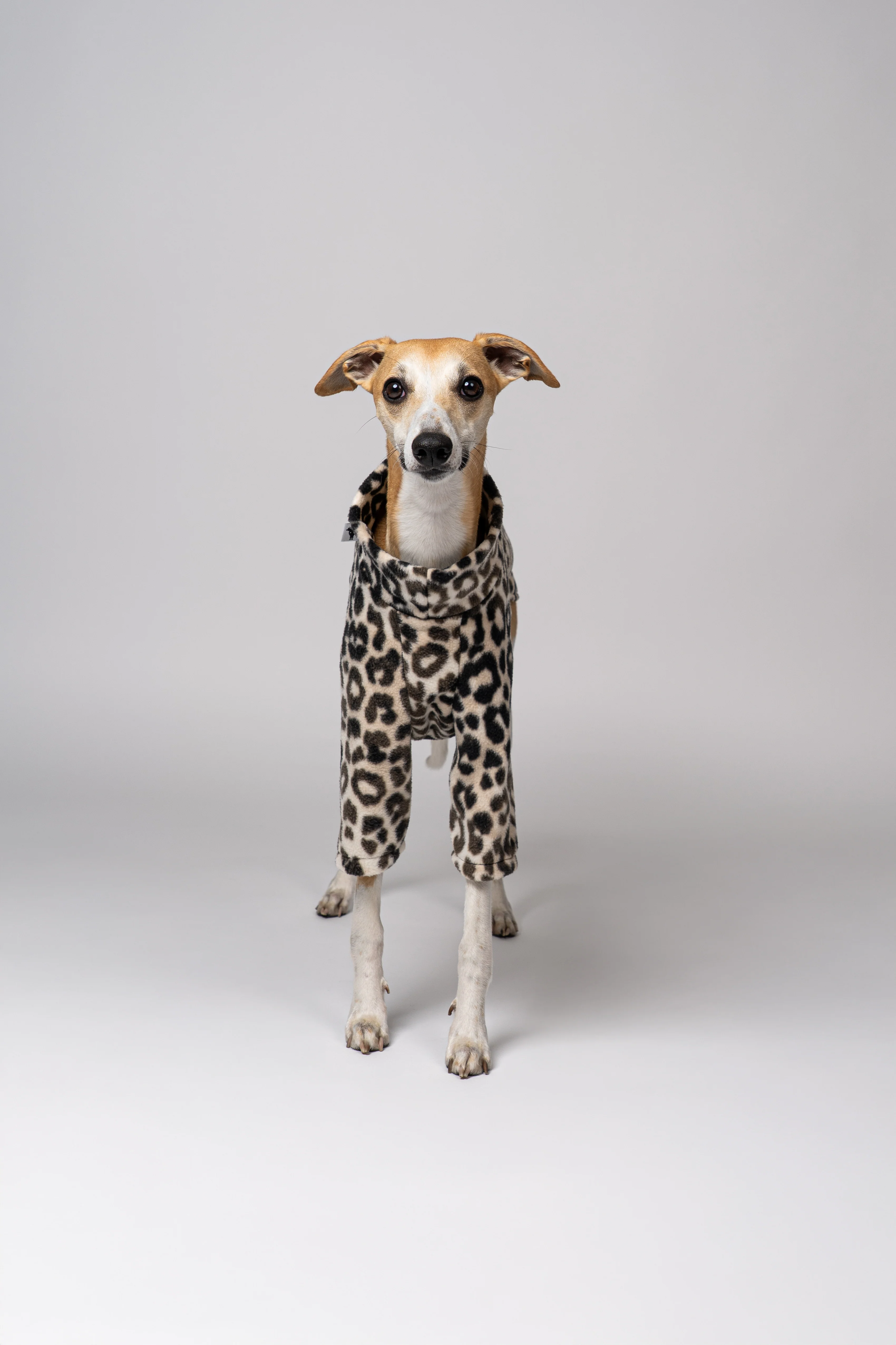 PULLOVER Windhund Leo - Image 5