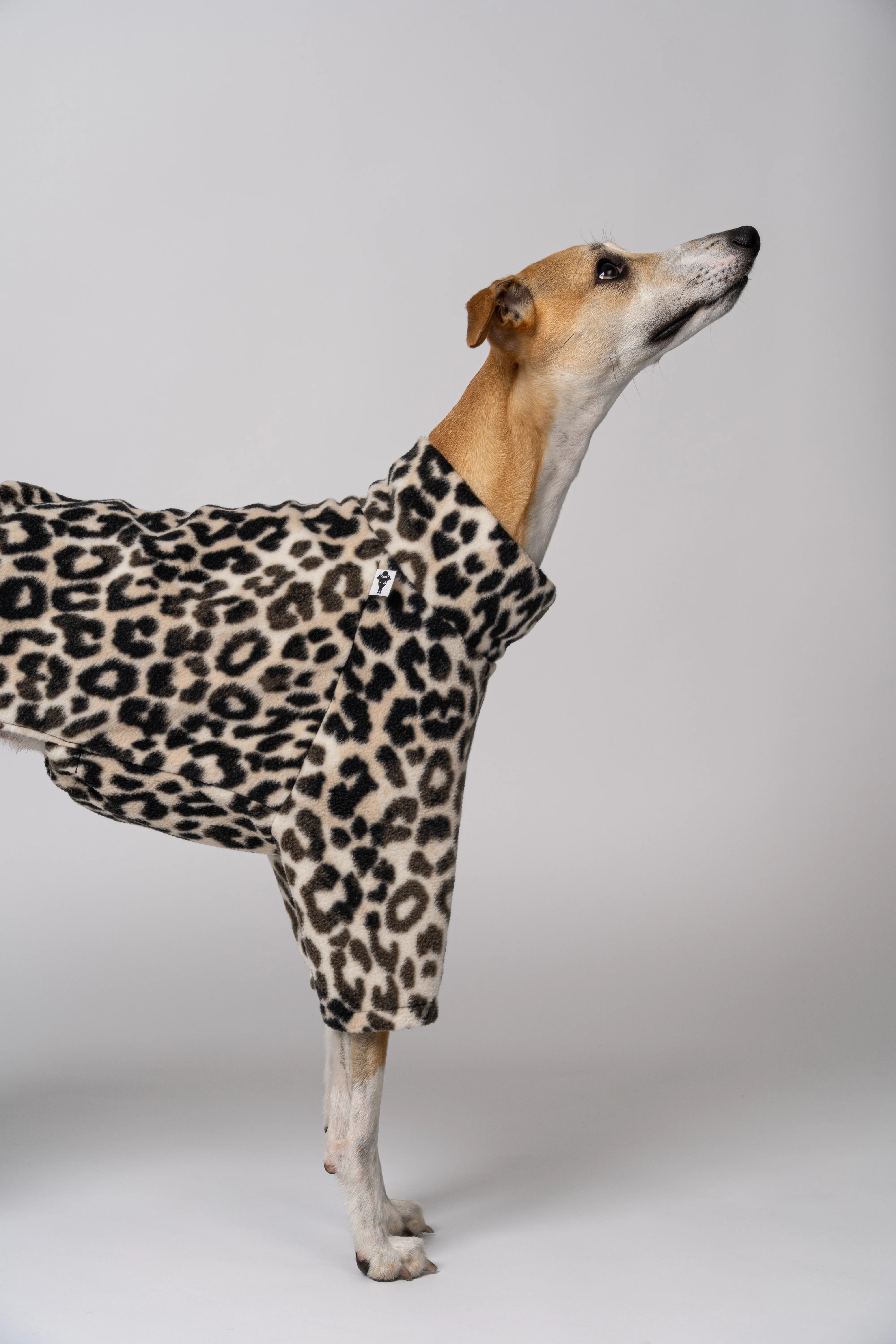 PULLOVER Windhund Leo - Image 6