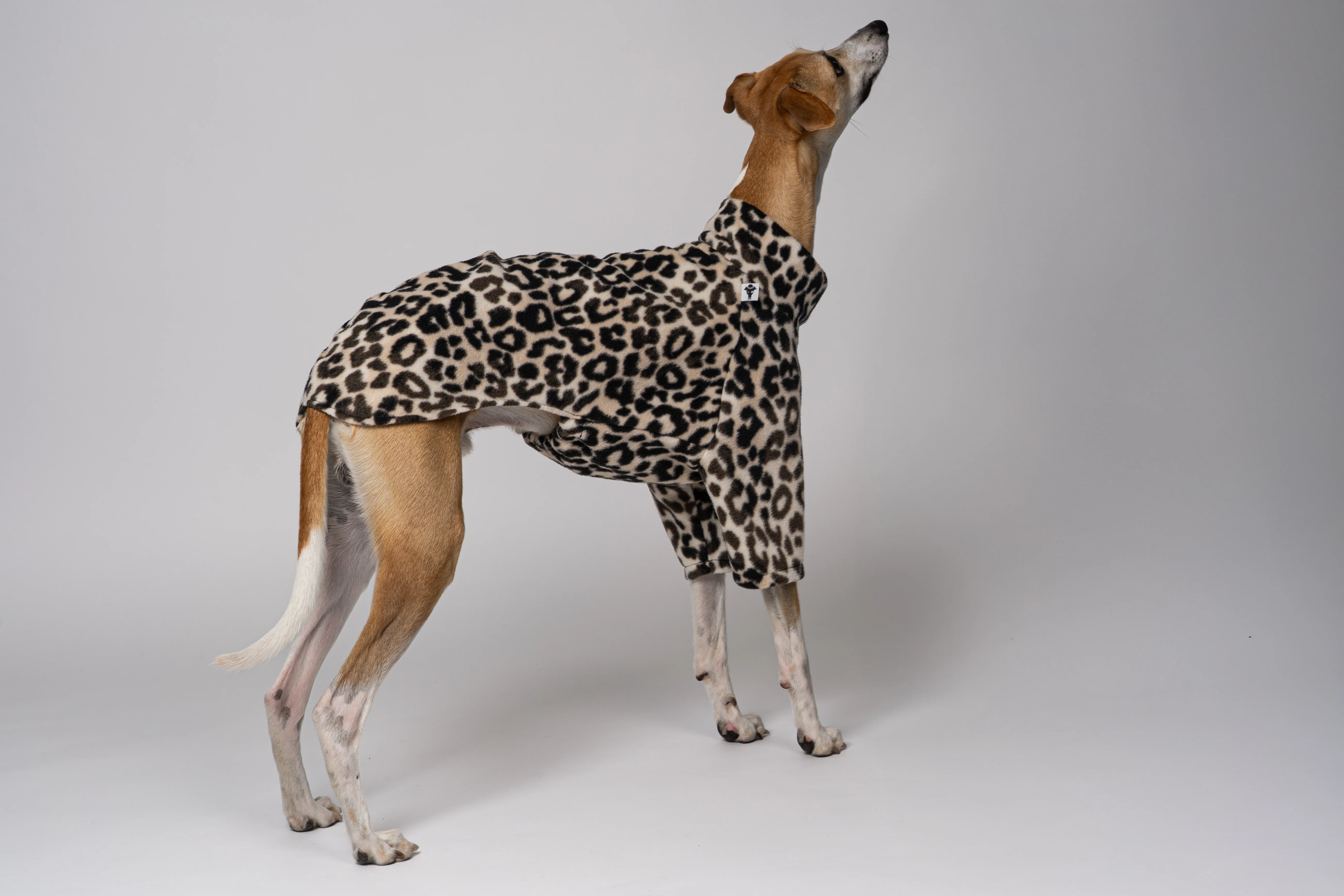 PULLOVER Windhund Leo - Image 8