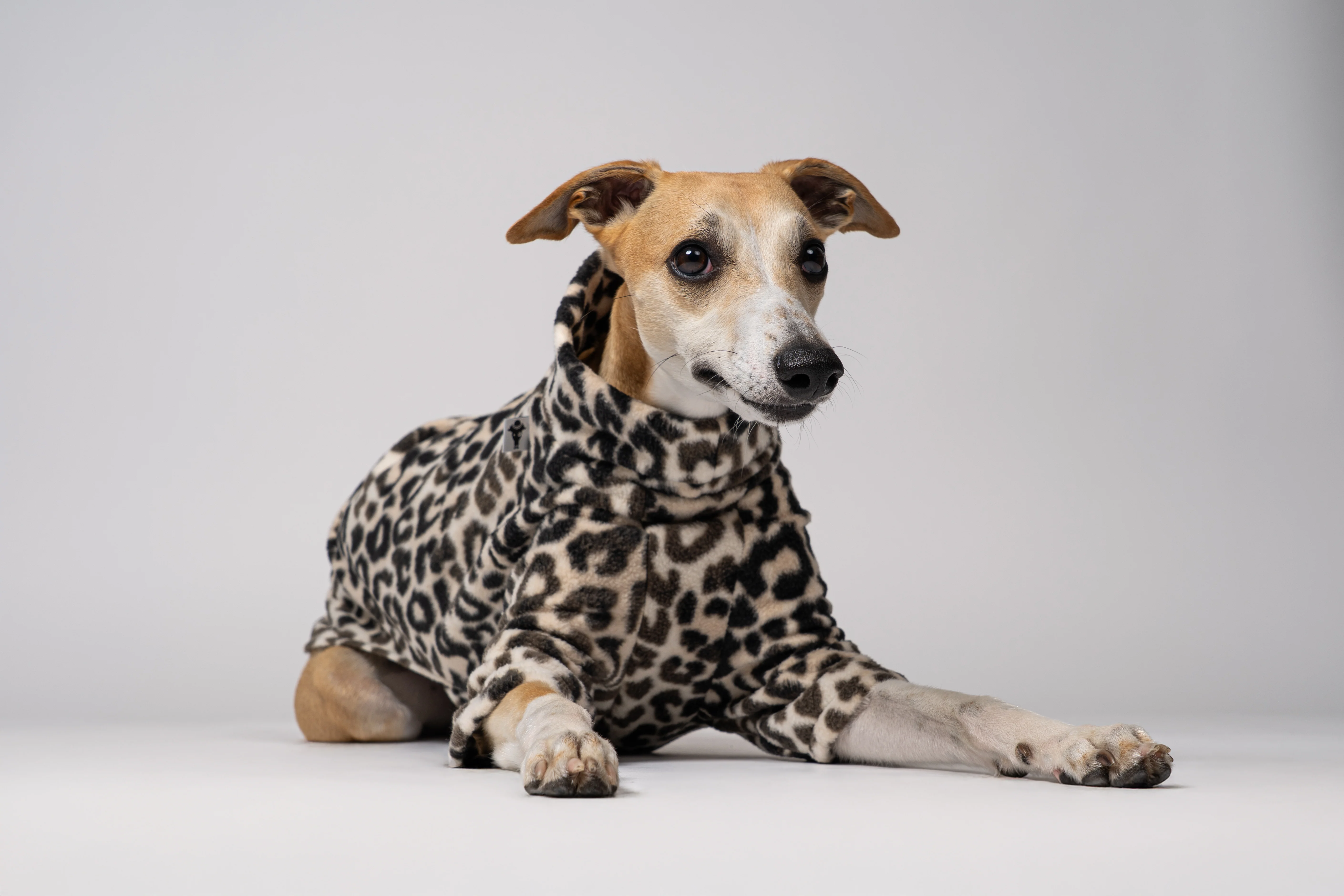 PULLOVER Windhund Leo - Image 9