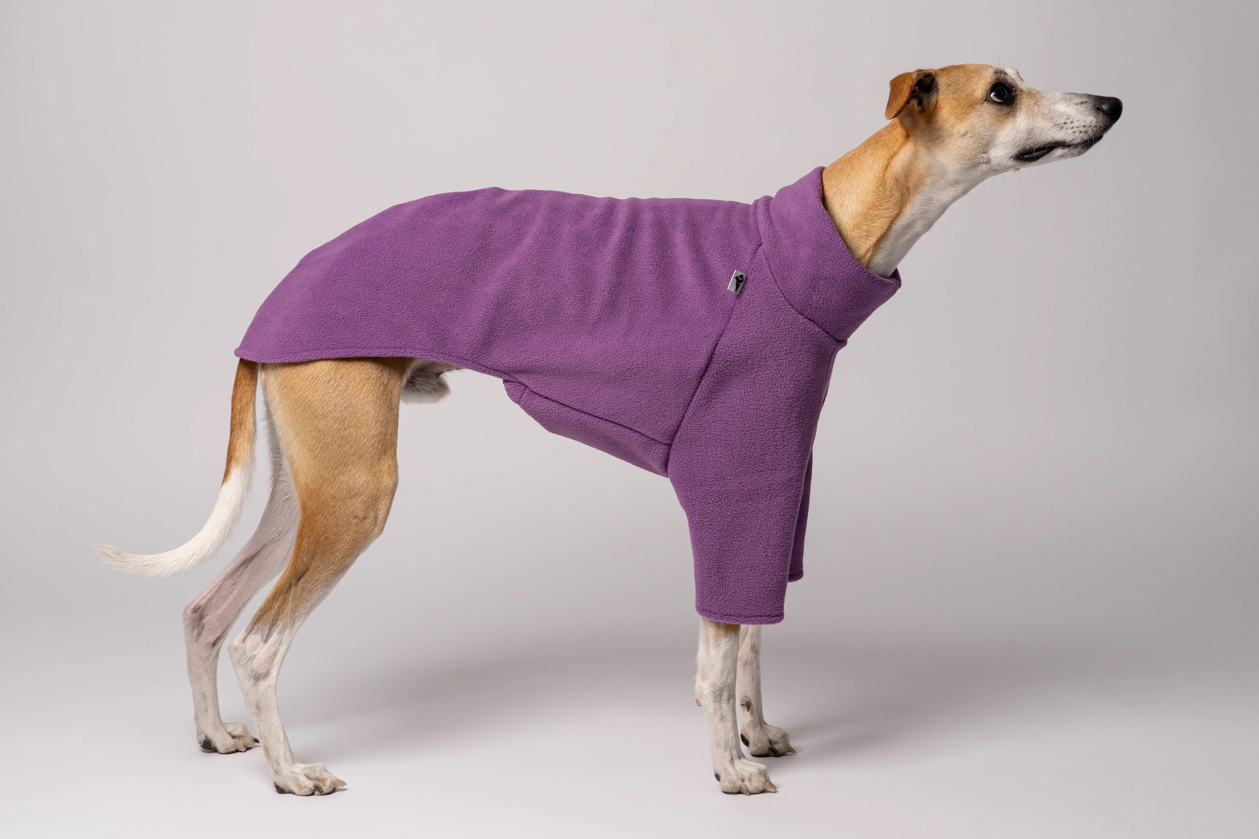 PULLOVER Windhund Violet - Image 4