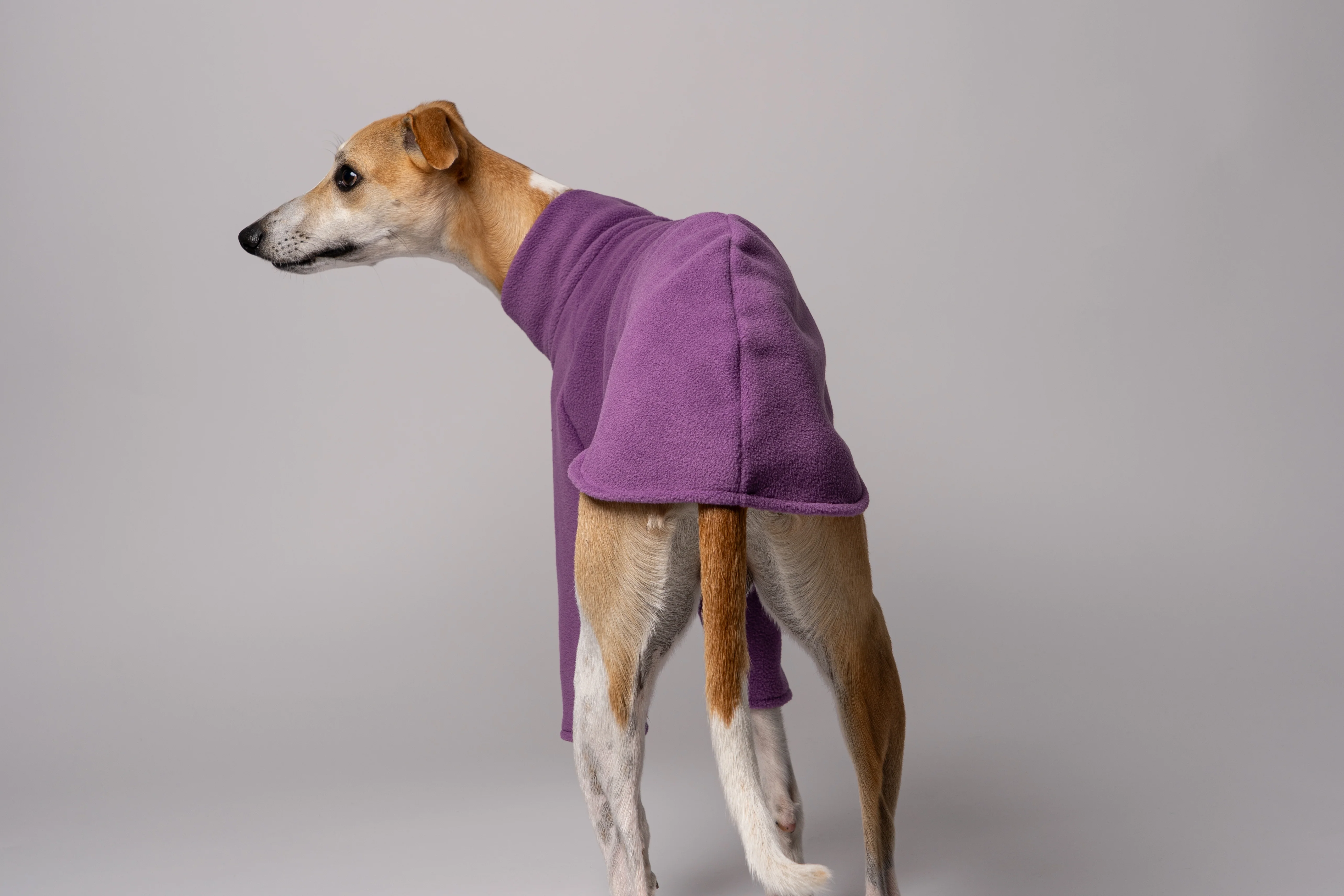 PULLOVER Windhund Violet - Image 5