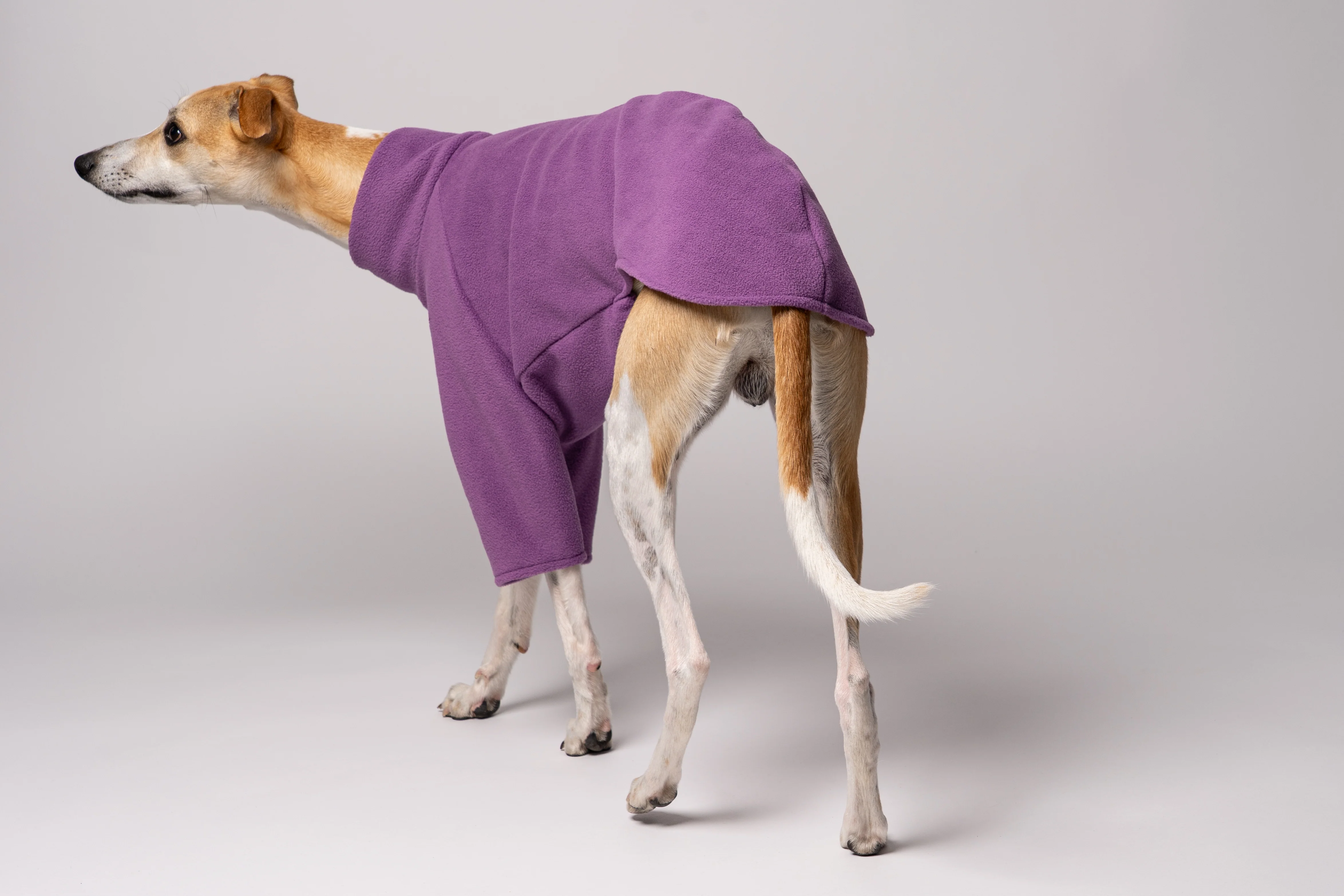 PULLOVER Windhund Violet - Image 6