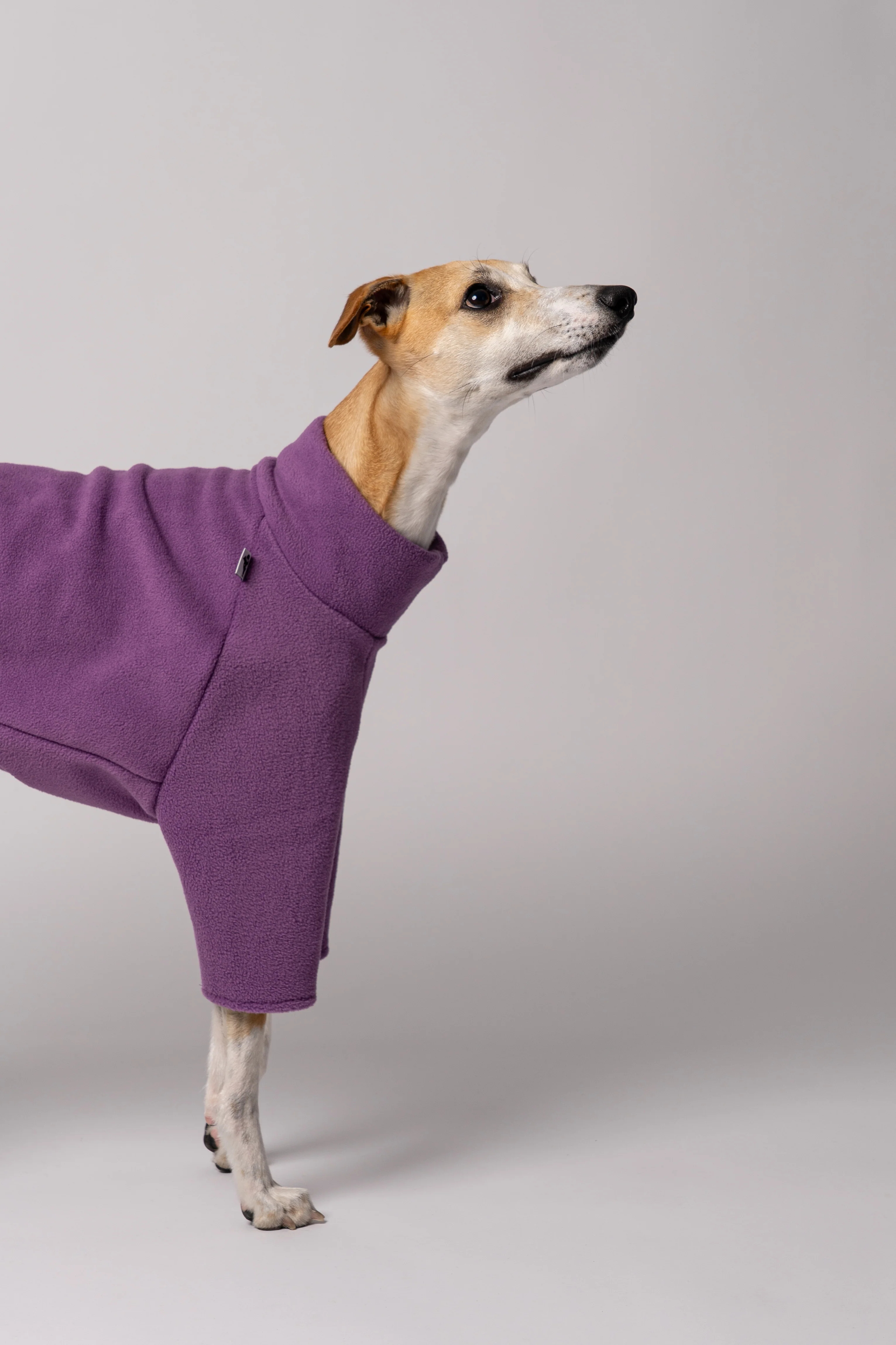 PULLOVER Windhund Violet - Image 7