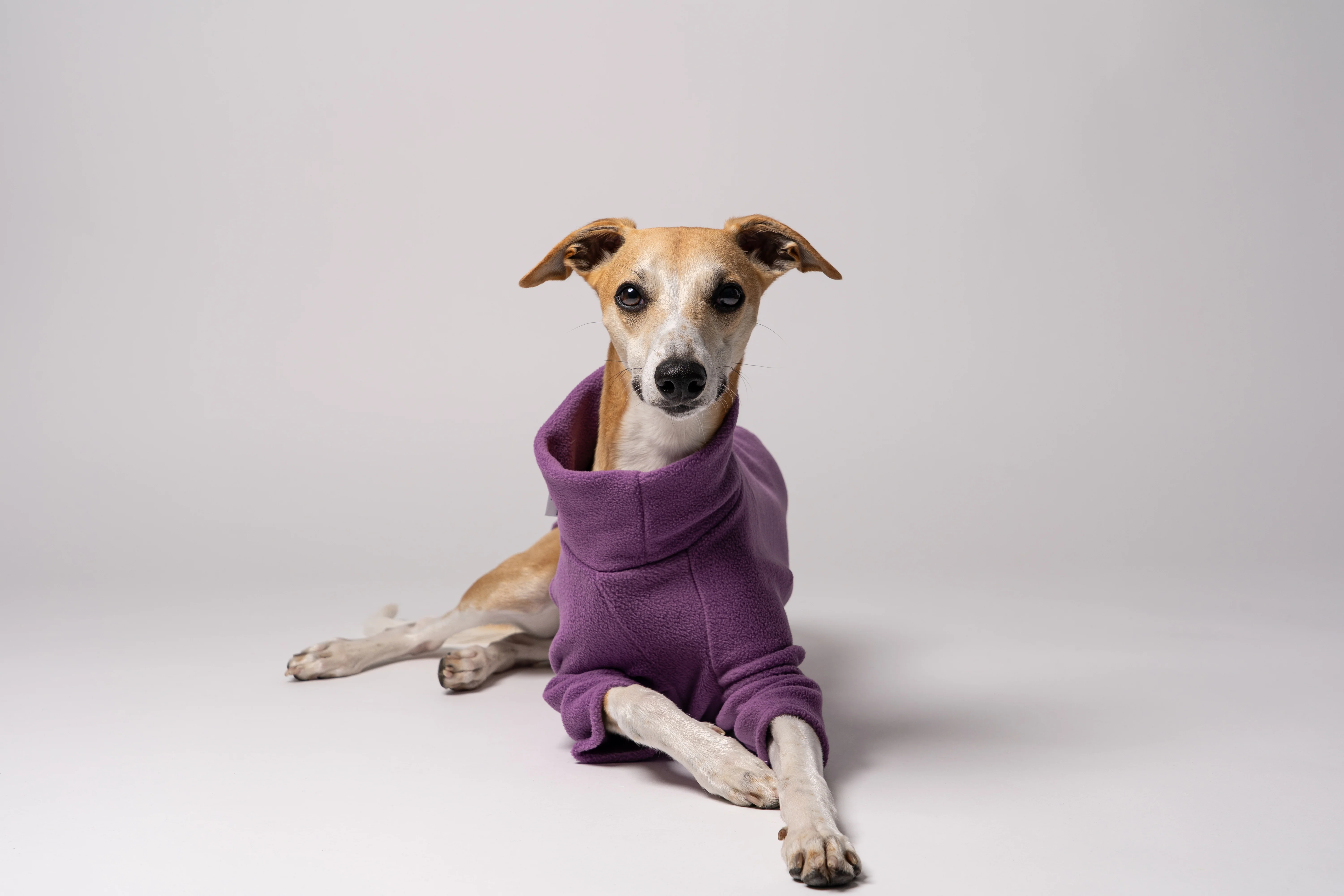 PULLOVER Windhund Violet - Image 8