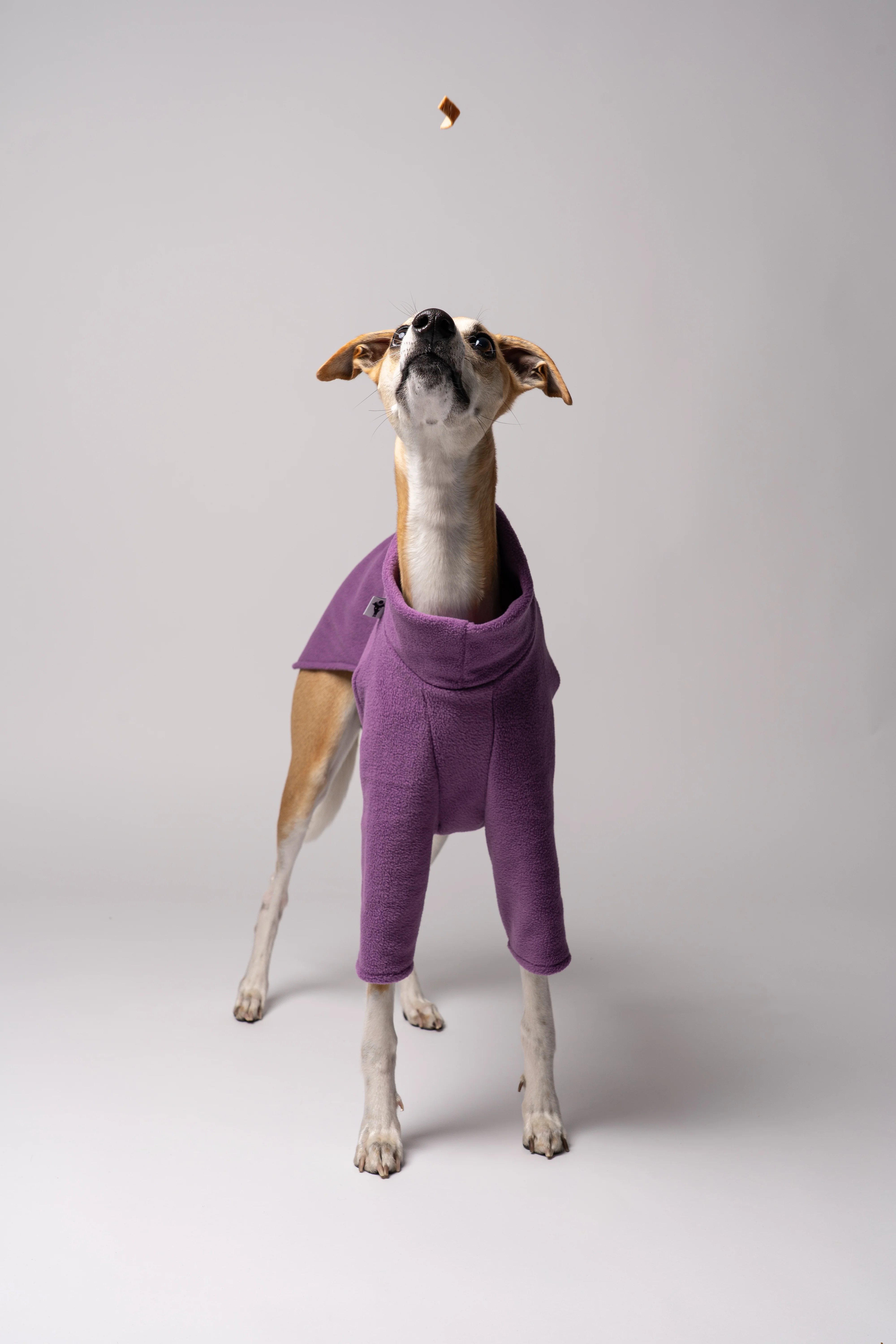 PULLOVER Windhund Violet - Image 9