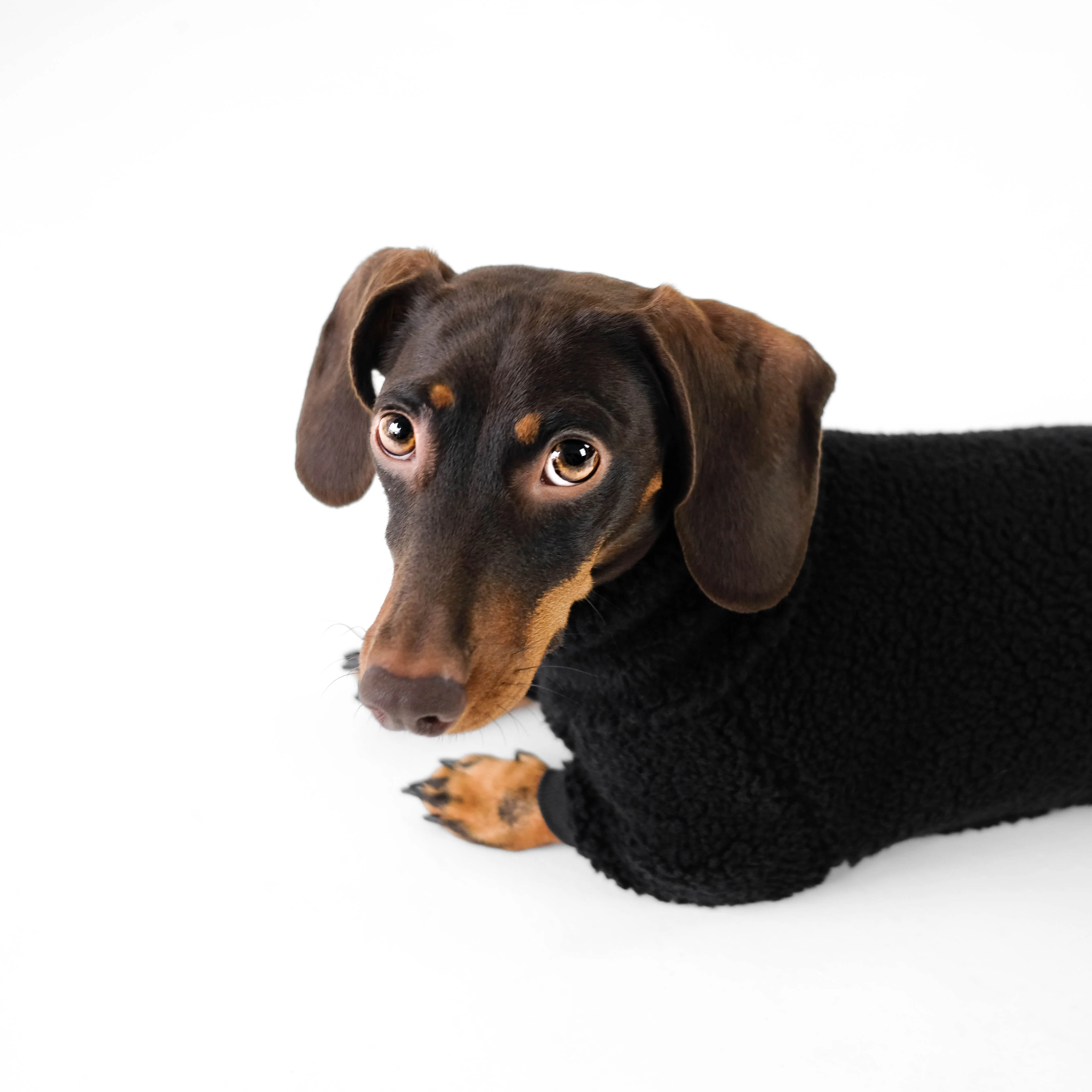 TEDDY OVERALL Dackel Schwarz - Image 4