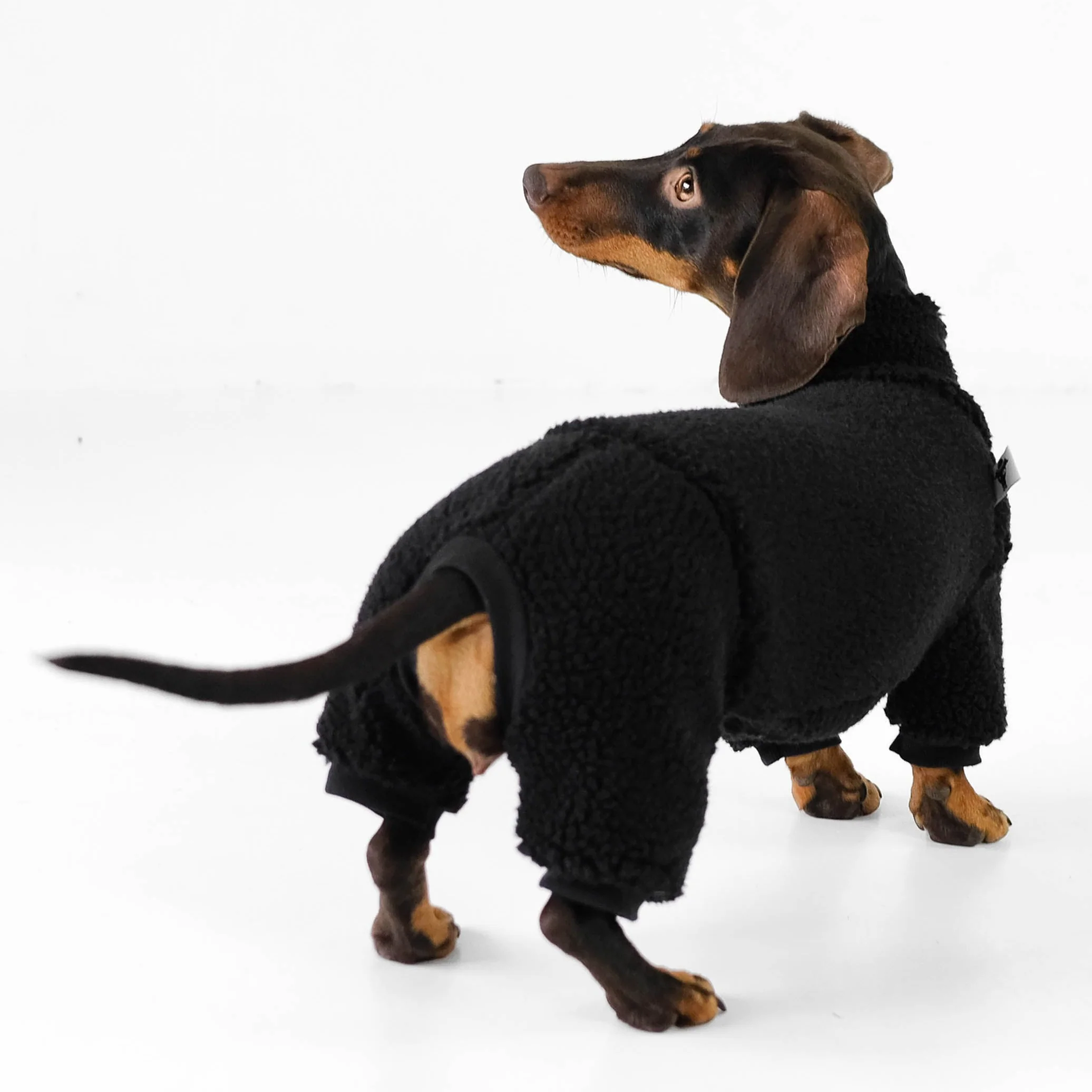 TEDDY OVERALL Dackel Schwarz - Image 5