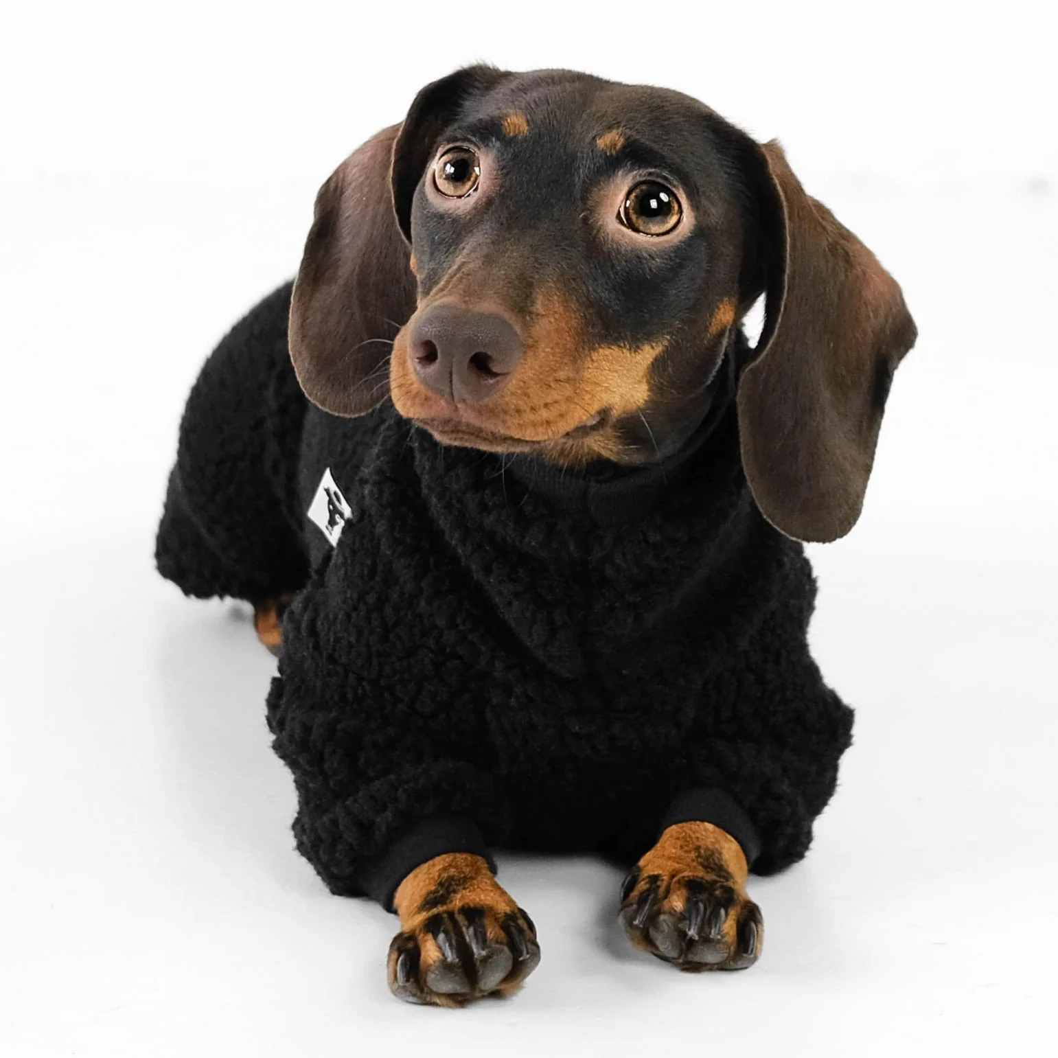 TEDDY OVERALL Dackel Schwarz - Image 6