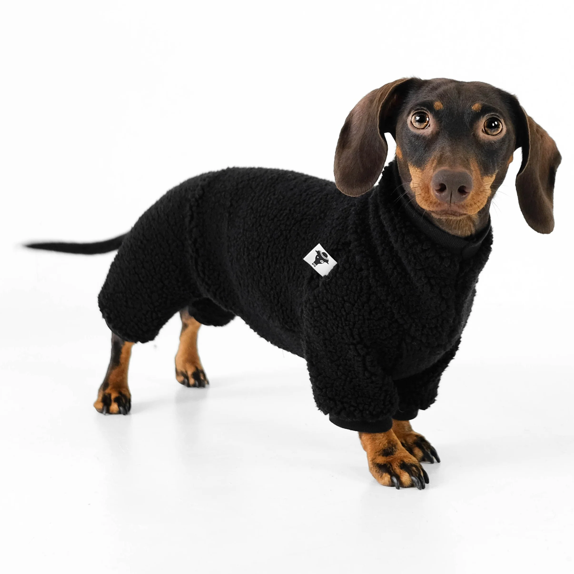 TEDDY OVERALL Dackel Schwarz - Image 7