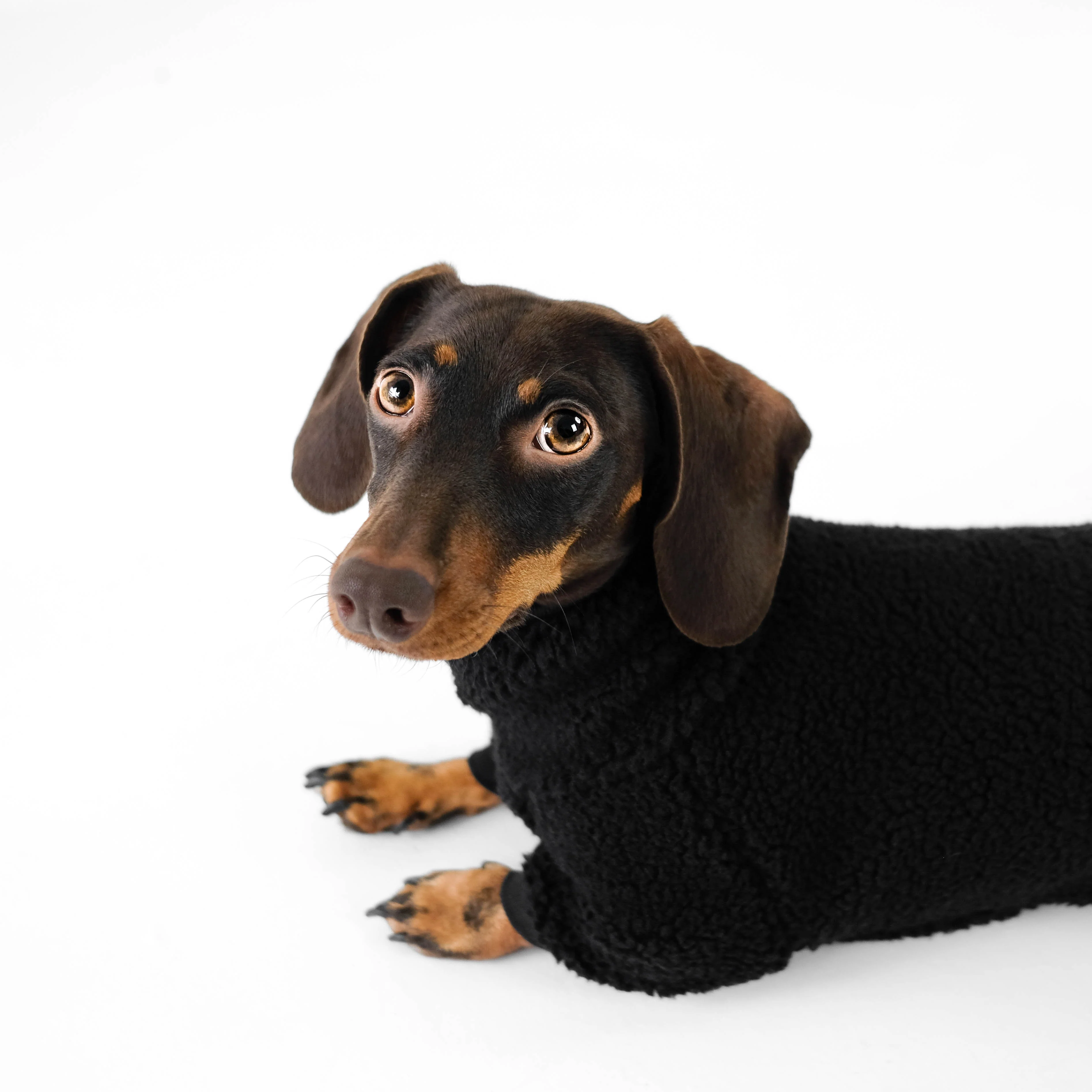 TEDDY OVERALL Dackel Schwarz - Image 9